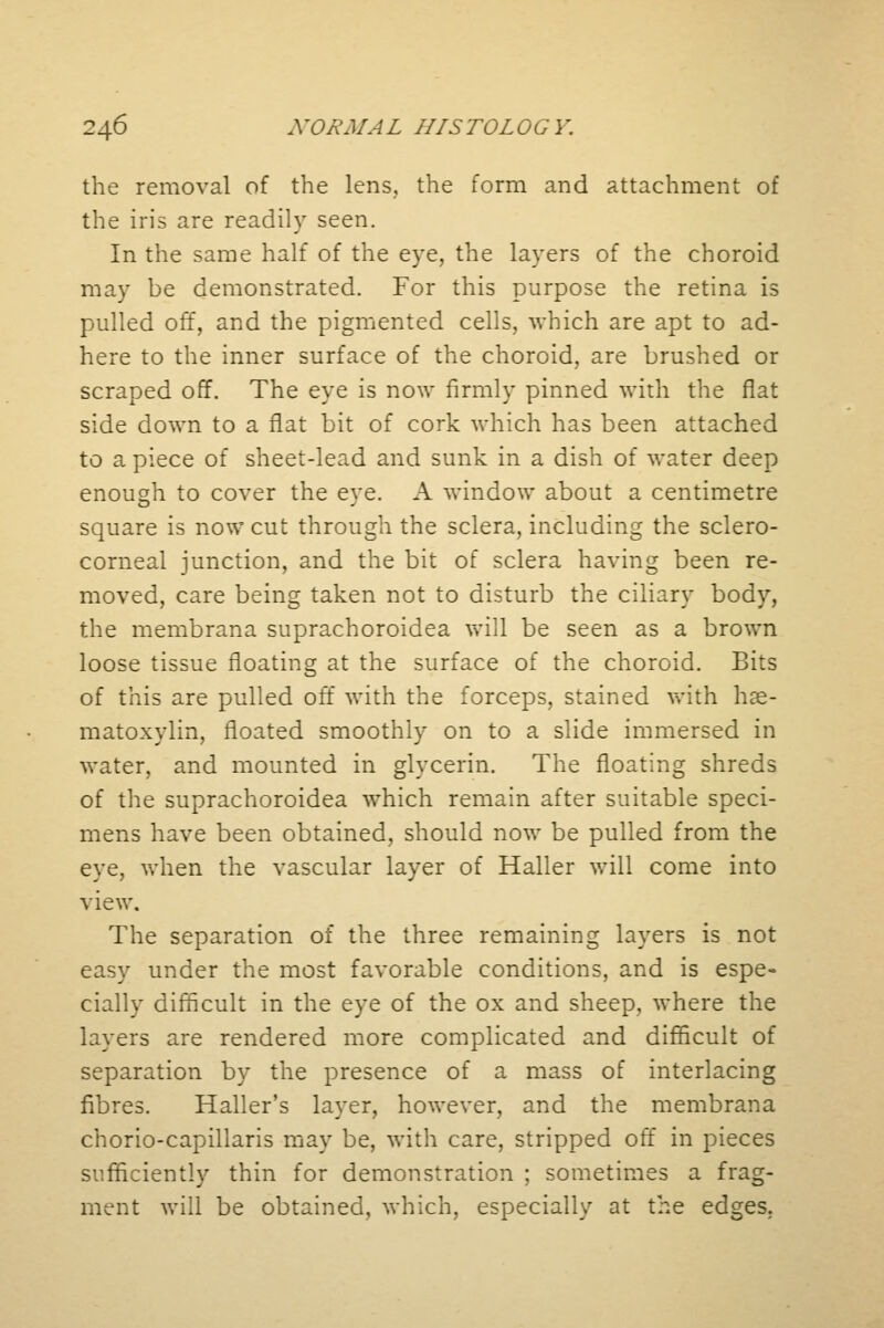 the removal of the lens, the form and attachment of the iris are readily seen. In the same half of the eye, the layers of the choroid may be demonstrated. For this purpose the retina is pulled off, and the pigmented cells, which are apt to ad- here to the inner surface of the choroid, are brushed or scraped off. The eye is now firmly pinned with the flat side down to a flat bit of cork which has been attached to a piece of sheet-lead and sunk in a dish of water deep enough to cover the eve. A window about a centimetre square is now cut through the sclera, including the sclero- corneal junction, and the bit of sclera having been re- moved, care being taken not to disturb the ciliary body, the membrana suprachoroidea will be seen as a brown loose tissue floating at the surface of the choroid. Bits of this are pulled off with the forceps, stained with he- matoxylin, floated smoothly on to a slide immersed in water, and mounted in glycerin. The floating shreds of the suprachoroidea which remain after suitable speci- mens have been obtained, should now be pulled from the eye, when the vascular layer of Haller will come into view. The separation of the three remaining layers is not easy under the most favorable conditions, and is espe- cially difficult in the eye of the ox and sheep, where the layers are rendered more complicated and difficult of separation by the presence of a mass of interlacing fibres. Haller's layer, however, and the membrana chorio-capillaris may be, with care, stripped off in pieces sufficiently thin for demonstration ; sometimes a frag- ment will be obtained, which, especially at the edges.
