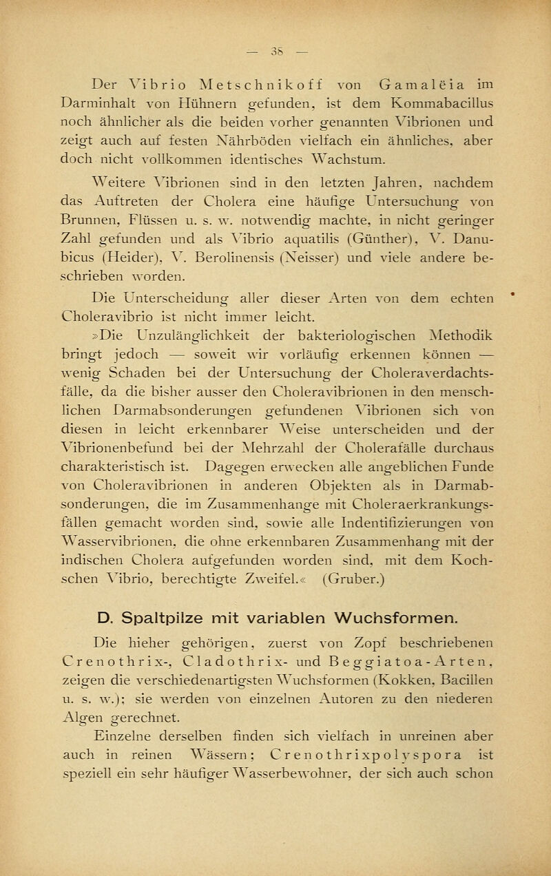 Der ^ibrio Aletschnikoff von Gamaleia im Darminhalt von Hühnern gefunden, ist dem Kommabacillus noch ähnlicher als die beiden vorher genannten V^ibrionen und zeigt auch auf festen Nährböden vielfach ein ähnliches, aber doch nicht vollkommen identisches Wachstum. Weitere Mbrionen sind in den letzten Jahren, nachdem das Auftreten der Cholera eine häufige Untersuchung von Brunnen, Flüssen u. s. w. notwendig machte, in nicht geringer Zahl gefunden und als Mbrio aquatilis (Günther), \^. Danu- bicus (Heider). \'. Berolinensis (Xeisser) und viele andere be- schrieben worden. Die Unterscheidung aller dieser Arten von dem echten Choleravibrio ist nicht immer leicht. »Die Unzulänsflichkeit der bakteriolopfischen ^Methodik bringt jedoch — soweit wir vorläufig erkennen können — wenig Schaden bei der Untersuchung der Choleraverdachts- fälle, da die bisher ausser den Choleravibrionen in den mensch- Hchen Darmabsonderungen gefundenen Mbrionen sich von diesen in leicht erkennbarer Weise unterscheiden und der Vibrionenbefund bei der Mehrzahl der Cholerafälle durchaus charakteristisch ist. Dagegen erwecken alle angeblichen Funde von Choleravibrionen in anderen Objekten als in Darmab- sonderungen, die im Zusammenhange mit Choleraerkrankungs- fällen gemacht worden sind, sowie alle Indentifizierungen von Wasservibrionen, die ohne erkennbaren Zusammenhang mit der indischen Cholera aufgefunden worden sind, mit dem Koch- schen Mbrio, berechtigte Zweifel.« (Gruber.) D. Spaltpilze mit variablen Wuchsformen. Die hieher gehörigen. zuerst von Zopf beschriebenen C r e n o t h r i X-, C1 a d o t h r i x- und Beggiatoa-Arten, zeigen die verschiedenartigsten Wuchsformen (Kokken, Bacillen u. s. w.); sie werden von einzelnen Autoren zu den niederen Algen gerechnet. Einzelne derselben finden sich vielfach in unreinen aber auch in reinen Wässern ; C r e n o t h r i xp o 1 v s p o r a ist speziell ein sehr häufiger Wasserbewohner, der sich auch schon