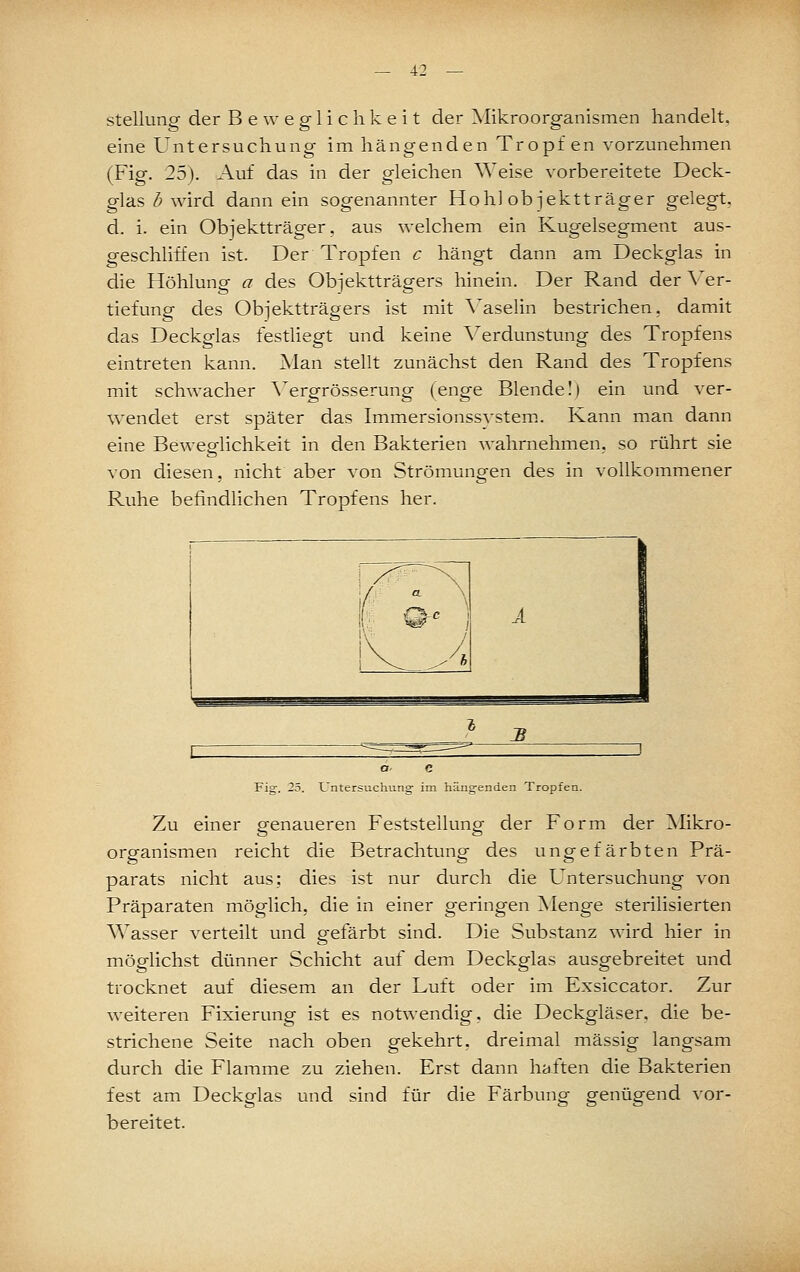 Stellung der Beweglichkeit der Mikroorganismen handelt, eine Untersuchung im hängenden Tropf en vorzunehmen (Fig. 25). Auf das in der gleichen Weise vorbereitete Deck- glas (5 wird dann ein sogenannter Hohl Objektträger gelegt, d. i. ein Objektträger, aus welchem ein Kugelsegment aus- geschliffen ist. Der Tropfen c hängt dann am Deckglas in die Höhlung a des Objektträgers hinein. Der Rand der \'er- tiefung des Objektträgers ist mit A'aselin bestrichen, damit das Deckglas festliegt und keine A^erdunstung des Tropfens eintreten kann. ]Man stellt zunächst den Rand des Tropfens mit schwacher A^ergrösserung (enge Blende I) ein und ver- wendet erst später das Immersionssvstem.. Kann man dann eine Beweglichkeit in den Bakterien wahrnehmen, so rührt sie von diesen, nicht aber von Strömungen des in vollkommener Ruhe befindlichen Tropfens her. J? Fig. 25. Untersuchving' im häng'enden Tropfen. Zu einer genaueren Feststellung der Form der ^Nlikro- organismen reicht die Betrachtung des ungefärbten Prä- parats nicht aus: dies ist nur durch die Untersuchung von Präparaten mög-lich, die in einer geringen Menge sterilisierten Wasser verteilt und gefärbt sind. Die Substanz wird hier in möglichst dünner Schicht auf dem Deckglas ausgebreitet und trocknet auf diesem an der Luft oder im Exsiccator. Zur weiteren Fixierung ist es notwendig, die Deckgläser, die be- strichene Seite nach oben gekehrt, dreimal massig langsam durch die Flamme zu ziehen. Erst dann haften die Bakterien fest am Deckglas und sind für die Färbung genügend vor- bereitet.