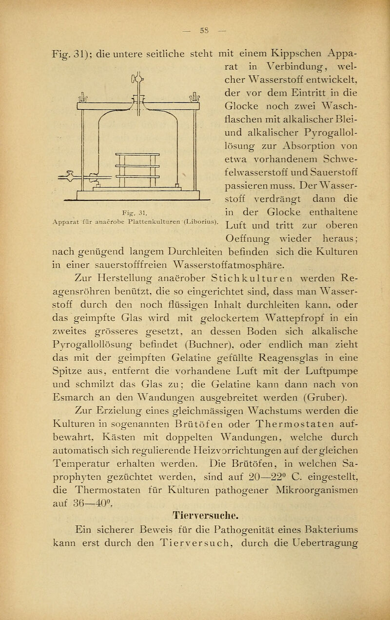 Fig. 31); die untere seitliche steht mit einem Kippschen Appa- rat in Verbindung, wel- tiiiJj' _5^ A ^ Fig. 31. Apparat für anaerobe Plattenkulturen (Liborius). (X/ eher Wasserstoff entwickelt, der vor dem Eintritt in die Glocke noch zwei Wasch- flaschen mit alkalischer Blei- und alkalischer Pvrogallol- lösung zur Absorption von etwa vorhandenem Schwe- felwasserstoff und Sauerstoff passieren muss. Der Wasser- stoff verdrängt dann die in der Glocke enthaltene Luft und tritt zur oberen OeffnunsT wieder heraus; nach genügend langem Durchleiten befinden sich die Kulturen in einer sauerstofffreien Wasserstoffatmosphäre. Zur Herstellung anaerober Stichkulturen werden Re- agensröhren benützt, die so eingerichtet sind, dass man Wasser- stoff durch den noch flüssig-en Inhalt durchleiten kann, oder das geimpfte Glas wird mit gelockertem Wattepfropf in ein zweites grösseres gesetzt, an dessen Boden sich alkalische Pyrogallollösung befindet (Buchner), oder endlich man zieht das mit der geimpften Gelatine gefüllte Reagensglas in eine Spitze aus, entfernt die vorhandene Luft mit der Luftpumpe und schmilzt das Glas zu; die Gelatine kann dann nach von Esmarch an den Wandungen ausgebreitet werden (Gruber). Zur Erzielung eines gleichmässigen Wachstums w^erden die Kulturen in sogenannten Brütöfen oder Thermostaten auf- bewahrt. Kästen mit doppelten Wandungen, welche durch automatisch sich regulierende Heizvorrichtungen auf dergleichen Temperatur erhalten werden. Die Brütöfen, in welchen Sa- prophyten gezüchtet werden, sind auf 20—22*^ C. eingestellt, die Thermostaten für Kulturen pathogener Mikroorganismen auf 36—400. Tierrersuche. Ein sicherer Beweis für die Pathogenität eines Bakteriums kann erst durch den Tierversuch, durch die Uebertragung