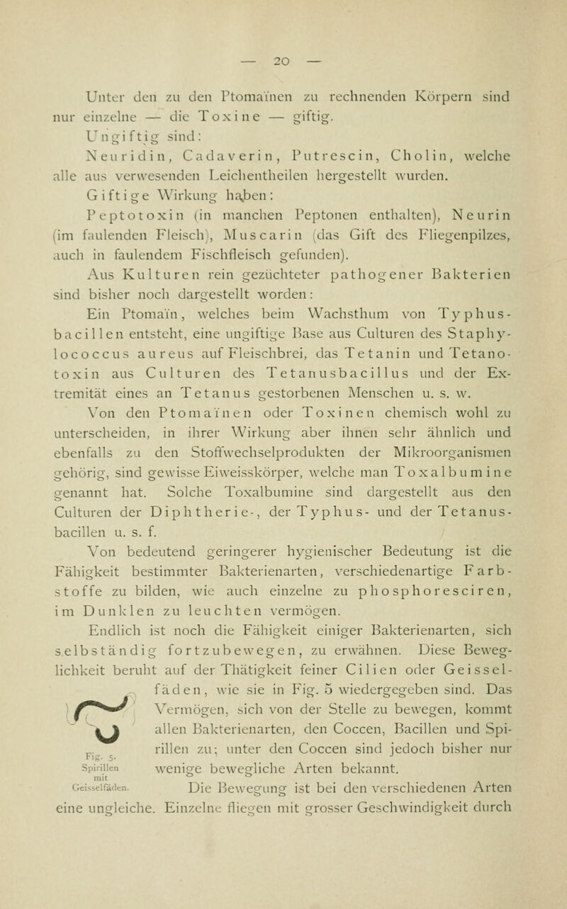 Unter den zu den PtomaYnen zu rechnenden Körpern sind nur einzelne — die Toxine — giftig. Ungi ftig sind: Neuridin, Cadaverin, Putrcscin, Chol in, welche alle aus verwesenden Leichenthcilen hergestellt wurden. G i f t i g e Wirkung halben : Peptotoxin (in manchen Peptonen enthalten), Neurin (im faulenden Fleisch), IMuscarin i^das Gift des Fliegenpilzes, auch in faulendem Fischfleisch gefunden). Aus Kulturen rein gezüchteter pathogen er Bakterien sind bisher noch dargestellt worden: Ein Ptomain, welches beim Wachsthum \'on Typhus- bacillen entsteht, eine ungiftige Base aus Culturen des Staphy- lococcus aureus auf Fleischbrei, dasTetanin und Tetano- toxin aus Culturen des Te tanusbac il 1 us und der Ex- tremität eines an Tetanus gestorbenen Menschen u. s. w. Von den Ptomainen oder Toxinen chemisch wohl zu unterscheiden, in ihrer Wirkung aber ihnen sehr ähnlich und ebenfalls zu den Stoffwechselprodukten der Mikroorganismen gehörig, sind gewisse Eiweisskörper, welche man Toxalbumine genannt hat. Solche Toxalbumine sind dargestellt aus den Culturen der Diphtherie-, der Typhus- und der Tetanus- bacillen u. s. f. Von bedeutend geringerer hygienischer Bedeutung ist die Fähigkeit bestimmter Bakterienarten, verschiedenartige Farb- stoffe zu bilden, wie auch einzelne zu p ho spho rescir en , im Dunklen zu leuchten vermögen. Endlich ist noch die Fähigkeit einiger Bakterienarten, sich selbständig fortzubewegen, zu erwähnen. Diese Beweg- lichkeit beruht auf der Thätigkeit feiner Cilien oder Geissei- fäden, wie sie in Fig. 5 wiedergegeben sind. Das ) ^^^^ \ Vermögen, sich von der Stelle zu bewegen, kommt fc\ allen Bakterienarten, den Coccen, Bacillen und Spi- rillen zu; unter den Coccen sind jedoch bisher nur rig. 5. ' -^ Spirillen wcnige bewegliche Arten bekannt. mit 00 Geisseifäcien. Dic Bcwcgung ist bei den verschiedenen Arten eine ungleiche. Einzelne fliegen mit grosser Geschwindigkeit durch