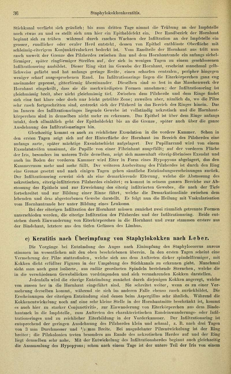 Sticlikanal verfärbt sich gräulich; bis zum dritten Tage nimmt die Trübung an der Impfstelle noch etwas zu und es stellt sieh nun hier ein Epitheldefekt ein. Der Eandbezirk der Hornhaut beginnt sich zu trüben während durch rasches Wachsen der Infiltration an der Impfstelle ein grosser, rundlicher oder ovaler Herd entsteht, dessen von Epithel entblösste Oberfläche mit schleimig-eiterigem Konjunktivalsekret bedeckt ist. Vom Eandteile der Hornhaut aus tritt nun rasch unweit der Grenze des Pilzherdes zwischen ihm und dem Hornhautrande ein anfangs sichel- förmiger, später ringförmiger Streifen auf, der sich in wenigen Tagen zu einem geschlossenen Infiltratiousring ausbildet. Dieser E-ing sitzt im Gewebe der Hornhaut, erscheint manchmal gelb- lichweiss gefärbt und hat anfangs geringe Breite, einen scharfen centralen, peripher hingegen weniger scharf ausgesprochenen Eand. Im Infiltrationsringe liegen die Eiterkörperehen ganz eng aneinander gepresst, gitterföi'mig übereinander. Dieselben sind so fest in das Maschenwerk der Hornhaut eingekeilt, dass sie die merkwürdigsten Formen annehmen; der Infiltrationsring ist gleichmässig breit, aber nicht gleiehmässig tief. Zwischen dem Pilzherde und dem Ringe findet sieh eine fast klare oder doch nur leicht getrübte Zone; zuweilen aber, nämlich da, ^vo die Pilze sehr rasch fortgeschritten sind, erstreckt sich der Pilzherd in das Bereich des Ringes hinein. Das im Innern des Infiltrationsringes liegende Gewebe ist vollständig nekrotisch und die Horuhaut- körperchen sind in demselben nicht mehr zu erkennen. Das Epithel ist über dem Ringe anfangs intakt, doch allmählich geht der Epitheldefekt bis an die Grenze, später auch über die ganze Ausdehnung des Infiltrationsringes hin. Gleichzeitig kommt es auch zu reichlicher Exsudation in die vordere Kammer. Schon in den ersten Tagen zeigt sich auf der Hinterfiäche der Hornhaut im Bereich des Pilzherdes eine anfangs zarte, später mächtige Exsudatschicht aufgelagert. Der Pupillarrand wird von einem Exsudatstreifen umsäumt, die Pupille von einer Fibrinhaut ausgefüllt; auf der vorderen Fläche der Iris, besonders im unteren TeUe derselben, zeigt sich massenhaft eiterig-fibrinöses Exsudat und auch im Boden der vorderen Kammer wird Eiter in Form eines Hypopyons abgelagert, das den Kammerraum mehr und mehr füllt. Der weiteren Ausbreitung des Pilzherdes ist durch den Ring eine Grenze gesetzt und nach einigen Tagen gehen sämtliche Entzündungserscheinungen zurück. Der Infiltrationsring erweist sich als eine demarkierende Eiterung, welche die Abstossung des nekrotischen, eiterig-infiltrierten Pilzherdes einleitet; es kommt in seinem ganzen Bereiche zur Ab- stossung des Epithels und zur Erweichung des eiterig infiltrierten Gewebes, die nach der Tiefe fortschreitet und zur Bildung einer Rinne führt, welche die Demarkationslinie zwischen dem lebenden und dem abgestorbenen Gewebe darstellt. Es folgt nun die Heilung mit Vaskularisation vom Hornhautrande her unter Bildung eines Leukoms. Bei der eiterigen Infiltration der Hornhaut müssen zunächst zwei räumlich getrennte Formen unterschieden werden, die eiterige Infiltration des Pilzherdes und der Infiltrationsring. Beide ent- stehen durch Einwanderung von Eiterkörperchen in die Hornhaut und zwar stammen erstere aus der Bindehaut, letztere aus den tiefen Gefässen des Limbus. c) Keratitis nach Überimpfung von Staphylokokken nach Leher. Die Vorgänge bei Entzündung des Auges nach Einimpfung des Staphylococcus aureus stimmen im wesentlichen mit den oben beschriebenen überein. In den ersten Tagen scheint eine Vermehrung der Pilze stattzufinden, Avelche sich aus dem Auftreten dicker sjjindelförmiger, mit Kokken dicbt erfüllter Figuren in der Umgebung des Stichkanals zu erkennen giebt. Manchmal sieht man auch ganz isolierte, aus i'adiär geordneten Spindeln bestehende Sternchen, welche die in die verschiedenen Gewebslücken vordringenden und sich vermehrenden Kokken darstellen. Jedenfalls wird die eiterige Eutzündimg zunächst durch diejenigen Kokken angeregt, welche von aussen her in die Hornhaut eingeführt sind. Sie schreitet weiter, wenn es zu einer Ver- mehrung derselben kommt, während sie sich im anderen Falle ebenso rasch zurüekbildet. Die Erscheinungen der eiterigen Entzündung sind denen beim Aspergillus sehr ähnlich. Während die Kokkenentwickelung noch auf eine sehr kleine Stelle in der Hornhautmitte beschränkt ist, kommt es auch hier zu starker Conjunctivitis, zur Einwanderung von Eiterkörjjerchen aus dem Binde- hautsack in die Impfstelle, zum Auftreten des charakteristischen Randcinwanderungs- oder Infil- trationsringes und zu reichlicher Eiterbildung in der Vorderkammer. Der Infiltrationsring ist entsprechend der geringen Ausdehnung des Pilzherdes klein und schmal, z. B. nach drei Tagen von 3 mm Durchmesser und '/^ ^^ Breite. Bei ausgedehnter Pilzentwickelung ist der Ring breiter; die Pilzkolonien treten besonders am Rande des nekrotischen Herdes auf und der Ring liegt demselben sehr nahe. Mit der Eutwickelung des Infiltrationsherdes beginnt auch gleichzeitig die Ansammlung des Hypopyons; schon nach einem Tage ist der untere Teil der Iris von einem