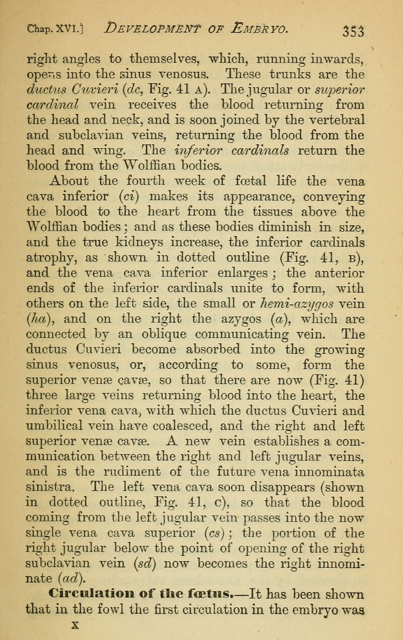 right angles to themselves, which, running inwards, oper.s into the sinus venosus. These trunks are the ductus Cuvieri (dc, Fig. 41 a). The jugular or siqoerior cardinal vein receives the blood returning from the head and neck, and is soon joined by the vertebral and subclavian veins, returning the blood from the head and wing. The inferior cardinals return the blood from the Wolffian bodies. About the fourth week of foetal life the vena cava inferior {ci) makes its appearance, conveying the blood to the heart from the tissues above the Wolffian bodies; and as these bodies diminish in size, and the true kidneys increase, the inferior cardinals atrophy, as shown in dotted outline (Fig. 41, b), and the vena cava inferior enlarges; the anterior ends of the inferior cardinals unite to form, with others on the left side, the small or hemi-azygos vein {ha), and on the right the azygos (a), which are connected by an oblique communicating vein. The ductus Cuvieri become absorbed into the growing sinus venosus, or, according to some, form the superior vense cavse, so that there are now (Fig. 41) three large veins returning blood into the heart, the inferior vena cava, with which the ductus Cuvieri and umbilical vein have coalesced, and the right and left superior venee cavge. A new vein establishes a com- munication between the right and left jugular veins, and is the rudiment of the future vena innominata sinistra. The left vena cava soon disappears (shown in dotted outline. Fig. 41, c), so that the blood coming from the left jugular vein passes into the now single vena cava superior {cs); the portion of the right jugular below the point of opening of the right subclavian vein (sd) now becomes the right innomi- nate (ad). Circulation of tlie foetus.—It has been shown that in the fowl the first circulation in the embryo was X