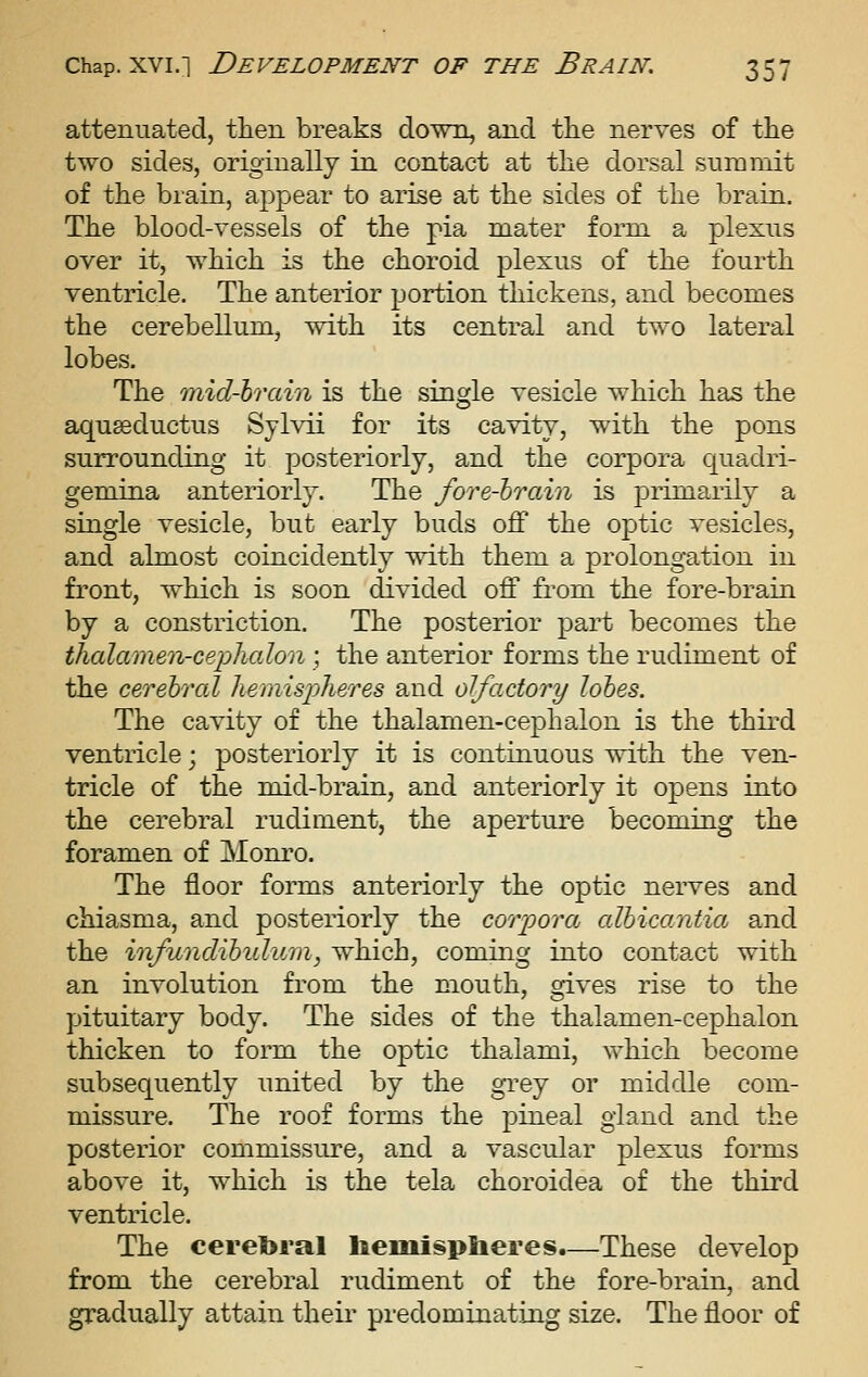 attenuated, then breaks down, and the nerves of the two sides, originally in contact at the dorsal summit of the brain, appear to arise at the sides of the brain. The blood-vessels of the pia mater form a plexus over it, which is the choroid plexus of the fourth ventricle. The anterior portion thickens, and becomes the cerebellum, with its central and two lateral lobes. The mid-hrain is the single vesicle which has the aquseductus Sjlvii for its cavity, with the pons surrounding it posteriorly, and the corpora quadri- gemina anteriorly. The fore-hrain is primarily a single vesicle, but early buds off the optic vesicles, and almost coincidently with them a prolongation in front, which is soon divided off from the fore-brain by a constriction. The posterior part becomes the thalamen-cephalon ; the anterior forms the rudiment of the cerebral hemisjjheres and olfactory lobes. The cavity of the thalamen-cephalon is the third ventricle; posteriorly it is continuous with the ven- tricle of the mid-brain, and anteriorly it opens into the cerebral rudiment, the aperture becoming the foramen of Monro. The floor forms anteriorly the optic nerves and chiasma, and posteriorly the corpora cdbicantia and the infundibidum, which, coming into contact with an involution from the mouth, gives rise to the pituitary body. The sides of the thalamen-cephalon thicken to form the optic thaiami, which become subsequently united by the gi^ey or middle com- missure. The roof forms the pineal gland and the posterior commissure, and a vascular plexus forms above it, which is the tela choroidea of the third ventricle. The cerebral liemisplieres.—These develop from the cerebral rudiment of the fore-brain, and gradually attain theii* predominating size. The floor of
