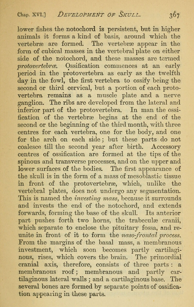 lower fishes the notochord is persistent, but in higher animals it forms a kind of basis, around which the vertebrae are formed. The vertebrae appear in the form of cubical masses in the vertebral plate on either side of the notochord, and these masses are tsnned protovertebrcE. Ossification commences at an early period in the protovertebra as early as the twelfth day in the fowl, the first vertebra to ossify being the second or third cervical, but a portion of each proto- vertebra remains as a muscle plate and a nerve ganglion. The ribs are developed from the lateral and inferior part of the protovertebra. In man the ossi- fication of the vertebrae begins at the end of the second or the beginning of the third month, with three centres for each vertebra, one for the body, and one for the arch on each side; but these parts do not coalesce till the second year after birth. Accessory centres of ossification are formed at the tips of the spinous and transverse processes, and on the upper and lower surfaces of the bodies. The first appearance of the skull is in the form of a mass of mesoblastic tissue in front of the protovertebrae, which, unlike the vertebral plates, does not undergo any segmentation. This is named the investing mass, because it surrounds and invests the end of the notochord, and extends forwards, forming the base of the skull. Its anterior part pushes forth two horns, the trabeculse cranii, which separate to enclose the pituitary fossa, and re- unite in front of it to form the naso-frontal jJTocess. From the margins of the basal mass, a membranous investment, which soon becomes partly cartilagi- nous, rises, which covers the brain. The primordial cranial axis, therefore, consists of three parts : a membranous roof; membranous and partly car- tilaginous lateral walls ; and a cartilaginous base. The several bones are formed by separate points of ossifica- tion appearing in these parts.
