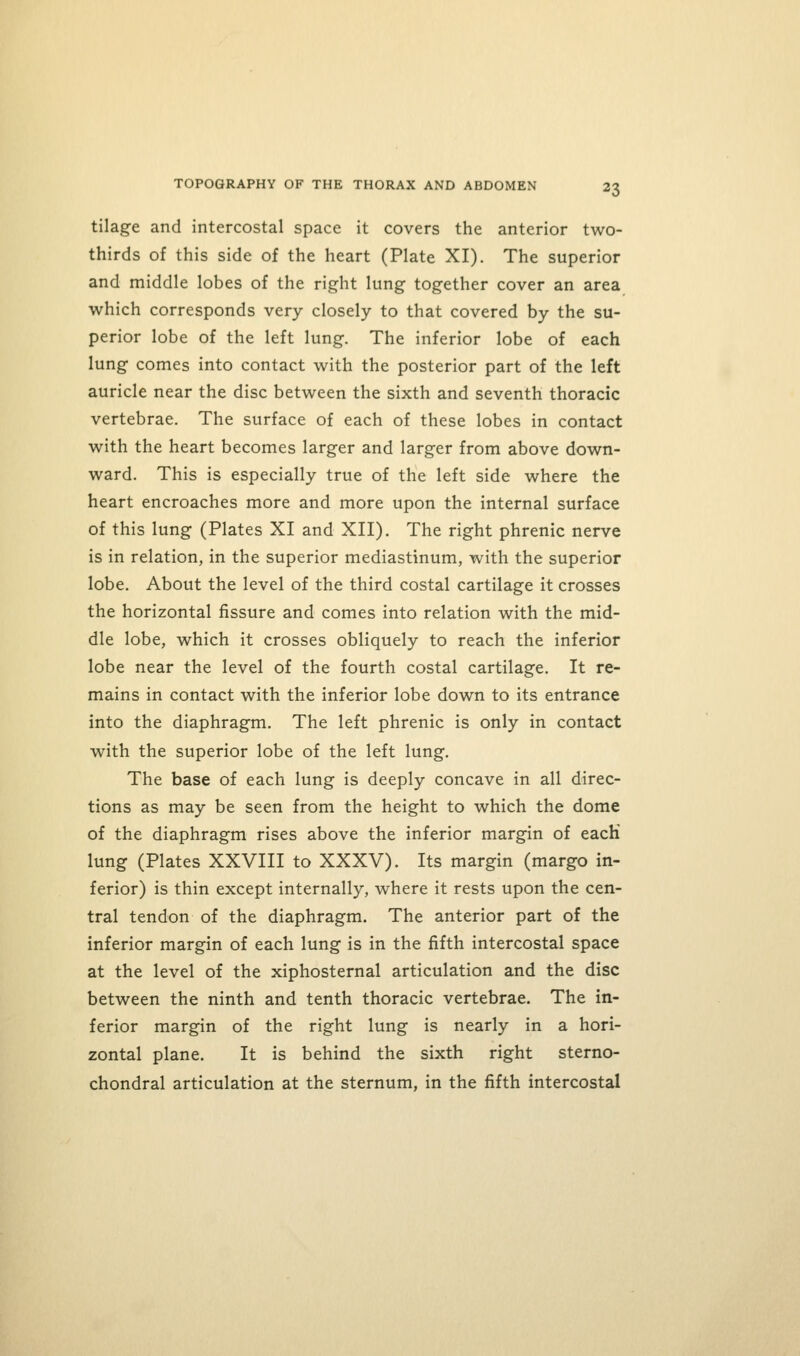tilage and intercostal space it covers the anterior two- thirds of this side of the heart (Plate XI). The superior and middle lobes of the right lung together cover an area which corresponds very closely to that covered by the su- perior lobe of the left lung. The inferior lobe of each lung comes into contact with the posterior part of the left auricle near the disc between the sixth and seventh thoracic vertebrae. The surface of each of these lobes in contact with the heart becomes larger and larger from above down- ward. This is especially true of the left side where the heart encroaches more and more upon the internal surface of this lung (Plates XI and XII). The right phrenic nerve is in relation, in the superior mediastinum, with the superior lobe. About the level of the third costal cartilage it crosses the horizontal fissure and comes into relation with the mid- dle lobe, which it crosses obliquely to reach the inferior lobe near the level of the fourth costal cartilage. It re- mains in contact with the inferior lobe down to its entrance into the diaphragm. The left phrenic is only in contact with the superior lobe of the left lung. The base of each lung is deeply concave in all direc- tions as may be seen from the height to which the dome of the diaphragm rises above the inferior margin of each lung (Plates XXVIII to XXXV). Its margin (margo in- ferior) is thin except internally, where it rests upon the cen- tral tendon of the diaphragm. The anterior part of the inferior margin of each lung is in the fifth intercostal space at the level of the xiphosternal articulation and the disc between the ninth and tenth thoracic vertebrae. The in- ferior margin of the right lung is nearly in a hori- zontal plane. It is behind the sixth right sterno- chondral articulation at the sternum, in the fifth intercostal