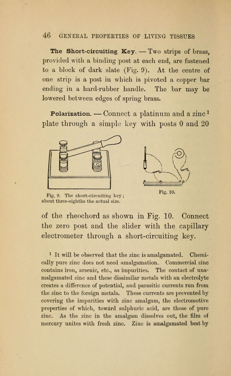 The Short-circuiting Key. — Two strips of brass, provided with a binding post at each end, are fastened to a block of dark slate (Fig. 9). At the centre of one strip is a post in which is pivoted a copper bar ending in a hard-rubber handle. The bar may be lowered between edges of spring brass. Polarization. — Connect a platinum and a zinc* plate through a simple key with posts 0 and 20 Fig. 10. Fig. 9. The short-circuiting key; about three-eighths the actual size. of the rheochord as shown in Fig. 10. Connect the zero post and the slider with the capillary electrometer through a short-circuiting key. 1 It will be observed that the zinc is amalgamated. Chemi- cally pure zinc does not need amalgamation. Commercial zinc contains iron, arsenic, etc., as impurities. The contact of una- malgamated zinc and these dissimilar metals with an electrolyte creates a difference of potential, and parasitic currents run from the zinc to the foreign metals. These currents are prevented by covering the impurities with zinc amalgam, the electromotive properties of which, toward sulphuric acid, are those of pure zinc. As the zinc in the amalgam dissolves out, the film of mercury unites with fresh zinc. Zinc is amalgamated best by