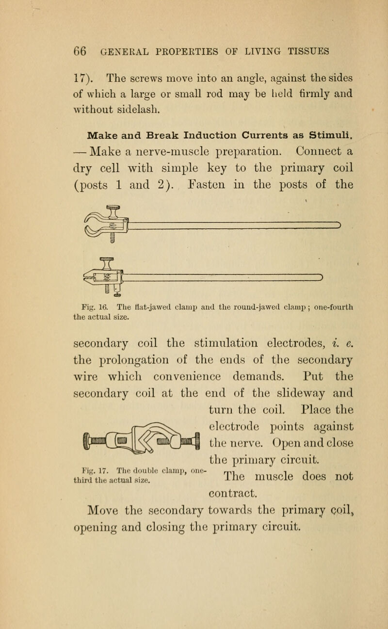 17). The screws move into an angle, against the sides of which a large or small rod may be held firmly and without sidelash. Make and Break Induction Currents as Stimuli. — Make a nerve-muscle preparation. Connect a dry cell with simple key to the primary coil (posts 1 and 2). Fasten in the posts of the Fig. 16. The flat-jawed clamp and the round-jawed clamp; one-fourth the actual size. secondary coil the stimulation electrodes, i. c. the prolongation of the ends of the secondary wire which convenience demands. Put the secondary coil at the end of the slide way and turn the coil. Place the ^^_jr~xEE^\ electrode points against (l^3^^<«QMf the nerve. Open and close the primary circuit. Fig. 17. The double clamp, one- r¥,, , , third the actual si/.. The muscle does not contract. Move the secondary towards the primary coil, opening and closing the primary circuit.