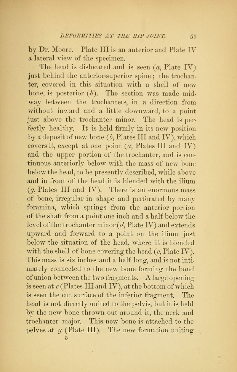 by Dr. Moore. Plate III is an anterior and Plate IV a lateral view of the specimen. The head is dislocated and is seen (a, Plate IV) just behind the anterior-superior spine ; the trochan- ter, covered in this situation with a shell of new bone, is posterior (&). The section was made mid- way between the trochanters, in a direction from without inward and a little downward, to a point just above the trochanter minor. The head is per- fectly healthy. It is held firmly in its new position by a deposit of new bone (&, Plates III and IV), which covers it, except at one point (#, Plates III and IV) and the upper portion of the trochanter, and is con- tinuous anteriorly below with the mass of new bone below the head, to be presently described, while above and in front of the head it is blended with the ilium (<7, Plates III and IV). There is an enormous mass of bone, irregular in shape and perforated by many foramina, which springs from the anterior portion of the shaft from a point one inch and a half below the level of the trochanter minor (d, Plate IV) and extends upward and forward to a point on the ilium just below the situation of the head, where it is blended with the shell of bone covering the head (<?, Plate IV). This mass is six inches and a half long, and is not inti- mately connected to the new bone forming the bond of union between the two fragments. Alarge opening is seen at e (Plates III and IV), at the bottom of which is seen the cut surface of the inferior fragment. The head is not directly united to the pelvis, but it is held by the new bone thrown out around it, the neck and trochanter major. This new bone is attached to the pelves at g (Plate III). The new formation uniting 5