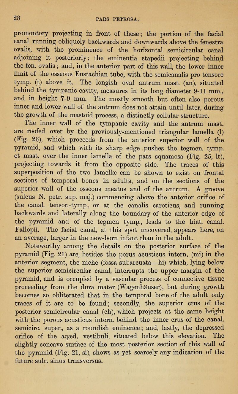 promontory projecting in front of these; the portion of the facial canal running obliquely backwards and downwards above the fenestra ovalis, with the prominence of the horizontal semicircular canal adjoining it posteriorly; the eminentia stapedii projecting behind the fen. ovalis; and, in the anterior part of this wall, the lower inner limit of the osseous Eustachian tube, with the semicanalis pro tensore tymp. (t) above it. The longish oval antrum mast, (an), situated behind the tympanic cavity, measures in its long diameter 9-11 mm., and in height 7-9 mm. The mostly smooth but often also porous inner and lower wall of the antrum does not attain until later, during the growth of the mastoid process, a distinctly cellular structure. The inner wall of the tympanic cavity and the antrum mast, are roofed over by the previously-mentioned triangular lamella (1) (Fig. 26), which proceeds from the anterior superior wall of the pyramid, and which with its sharp edge pushes the tegmen. tymp. et mast, over the inner lamella of the pars squamosa (Fig. 25, It), projecting towards it from the opposite side. The traces of this superposition of the two lamellse can be shown to exist on frontal sections of temporal bones in adults, and on the sections of the superior wall of the osseous meatus and of the antrum. A groove (sulcus N. petr. sup. maj.) commencing above the anterior orifice of the canal, tensor.-tymp., or at the canalis caroticus, and running backwards and laterally along the boundary of the anterior edge of the pyramid and of the tegmen tymp., leads to the hiat. canal. Fallopii. The facial canal, at this spot uncovered, appears here, on an average, larger in the new-born infant than in the adult. Noteworthy among the details on the posterior surface of the pyramid (Fig. 21) are, besides the porus acusticus intern, (mi) in the anterior segment, the niche (fossa subarcuata—hi) which, lying below the superior semicircular canal, interrupts the upper margin of the pyramid, and is occupied by a vascular process of connective tissue proceeding from the dura mater (Wagenhauser), but during growth becomes so obliterated that in the temporal bone of the adult only traces of it are to be found; secondly, the superior crus of the posterior semicircular canal (ch), which projects at the same height with the porous acusticus intern, behind the inner crus of the canal, semicirc. super., as a roundish eminence; and, lastly, the depressed orifice of the aqsed. vestibuli, situated below this elevation. The slightly concave surface of the most posterior section of this wall of the pyramid (Fig. 21, si), shows as yet scarcely any indication of the future sulc. sinus trans versus.