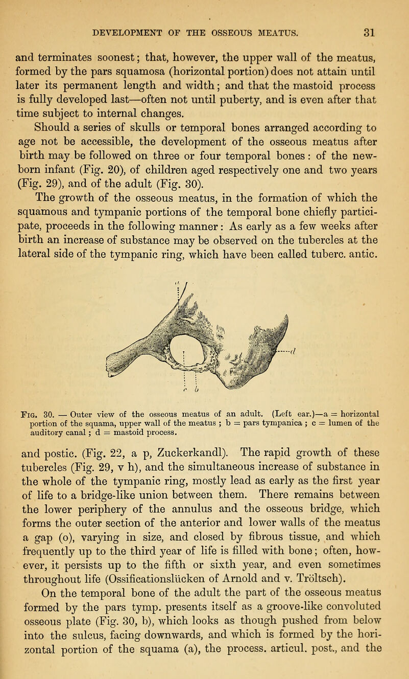 and terminates soonest; that, however, the upper wall of the meatus, formed by the pars squamosa (horizontal portion) does not attain until later its permanent length and width; and that the mastoid process is fully developed last—often not until puberty, and is even after that time subject to internal changes. Should a series of skulls or temporal bones arranged according to age not be accessible, the development of the osseous meatus after birth may be followed on three or four temporal bones: of the new- born infant (Fig. 20), of children aged respectively one and two years (Fig. 29), and of the adult (Fig. 30). The growth of the osseous meatus, in the formation of which the squamous and tympanic portions of the temporal bone chiefly partici- pate, proceeds in the following manner: As early as a few weeks after birth an increase of substance may be observed on the tubercles at the lateral side of the tympanic ring, which have been called tuberc. antic. Fig. 30. — Outer view of the osseous meatus of an adult. (Left ear.)—a = horizontal portion of the squama, upper wall of the meatus ; b = pars tympanica; c = lumen of the auditory canal; d =; mastoid process. and postic. (Fig. 22, a p, Zuckerkandl). The rapid growth of these tubercles (Fig. 29, v h), and the simultaneous increase of substance in the whole of the tympanic ring, mostly lead as early as the first year of life to a bridge-like union between them. There remains between the lower periphery of the annulus and the osseous bridge, which forms the outer section of the anterior and lower walls of the meatus a gap (o), varying in size, and closed by fibrous tissue, and which frequently up to the third year of life is filled with bone; often, how- ever, it persists up to the fifth or sixth year, and even sometimes throughout life (Ossificationslucken of Arnold and v. Troltsch). On the temporal bone of the adult the part of the osseous meatus formed by the pars tymp. presents itself as a groove-like convoluted osseous plate (Fig. 30, b), which looks as though pushed from below into the sulcus, facing downwards, and which is formed by the hori- zontal portion of the squama (a), the process, articul. post., and the