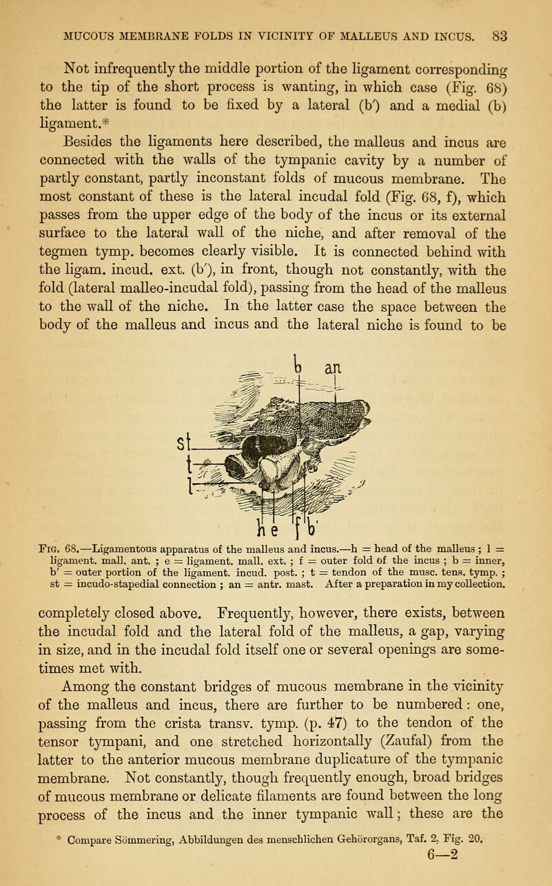 Not infrequently the middle portion of the ligament corresponding to the tip of the short process is wanting, in which case (Fig. 68) the latter is found to be fixed by a lateral (b') and a medial (b) ligament.* Besides the ligaments here described, the malleus and incus are connected with the walls of the tympanic cavity by a number of partly constant, partly inconstant folds of mucous membrane. The most constant of these is the lateral incudal fold (Fig. 68, f), which passes from the upper edge of the body of the incus or its external surface to the lateral wall of the niche, and after removal of the tegmen tymp. becomes clearly visible. It is connected behind with the ligam. incud. ext. (b'), in front, though not constantly, with the fold (lateral malleo-incudal fold), passing from the head of the malleus to the wall of the niche. In the latter case the space between the body of the malleus and incus and the lateral niche is found to be Fig. 68.—Ligamentous apparatus of the malleus and incus.—h = head of the maUeus ; 1 = ligament, mall. ant. ; e = ligament, mall. ext. ; f — outer fold of the incus ; b = inner, b' = outer portion of the ligament, incud. post. ; t = tendon of the muse. tens. tymp. ; st = incudo-stapedial connection ; an = antr, mast. After a preparation in my collection. completely closed above. Frequently, however, there exists, between the incudal fold and the lateral fold of the malleus, a gap, varying in size, and in the incudal fold itself one or several openings are some- times met with. Among the constant bridges of mucous membrane in the vicinity of the malleus and incus, there are further to be numbered: one, passing from the crista transv. tymp. (p. 47) to the tendon of the tensor tympani, and one stretched horizontally (Zaufal) from the latter to the anterior mucous membrane duplicature of the tympanic membrane. Not constantly, though frequently enough, broad bridges of mucous membrane or delicate filaments are found between the long process of the incus and the inner tympanic wall; these are the * Compare Summering, Abbildungen des menschlichen Gehororgans, Taf. 2, Fig. 20. 6—2