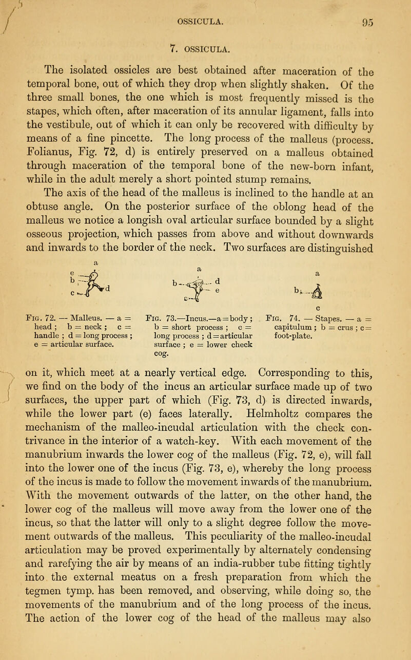 7. OSSICULA. The isolated ossicles are best obtained after maceration of the temporal bone, out of which they drop when slightly shaken. Of the three small bones, the one which is most frequently missed is the stapes, which often, after maceration of its annular ligament, falls into the vestibule, out of which it can only be recovered with difficulty by means of a fine pincette. The long process of the malleus (process. Folianus, Fig. 72, d) is entirely preserved on a malleus obtained through maceration of the temporal bone of the new-bom infant, while in the adult merely a short pointed stump remains. The axis of the head of the malleus is inclined to the handle at an obtuse angle. On the posterior surface of the oblong head of the malleus we notice a longish oval articular surface bounded by a slight osseous projection, which passes from above and without downwards and inwards to the border of the neck. Two surfaces are distinguished ... d Fig. 72. — Malleus. — a = Fig. 73.—Incus.—a=body ; Fig. 74. — Stapes, — a = head ; b — neck ; c = b = short process ; c = capitulum ; b — crus ; c = handle ; d = long process ; long process ; d = articular foot-plate. 8 = articular surface. surface ; e = lower check cog, on it, which meet at a nearly vertical edge. Corresponding to this, we find on the body of the incus an articular surface made up of two surfaces, the upper part of which (Fig, 73, d) is directed inwards, while the lower part (e) faces laterally. Helmholtz compares the mechanism of the malleo-incudal articulation with the check con- trivance in the interior of a watch-key. With each movement of the manubrium inwards the lower cog of the malleus (Fig. 72, e), will fall into the lower one of the incus (Fig. 73, e), whereby the long process of the incus is made to follow the movement inwards of the manubrium. With the movement outwards of the latter, on the other hand, the lower cog of the malleus will move away from the lower one of the incus, so that the latter will only to a slight degree follow the move- ment outwards of the malleus. This peculiarity of the malleo-incudal articulation may be proved experimentally by alternately condensing and rarefying the air by means of an india-rubber tube fitting tightly into the external meatus on a fresh preparation from which the tegmen tymp. has been removed, and observing, while doing so, the movements of the manubrium and of the long process of the incus. The action of the lower cog of the head of the malleus may also