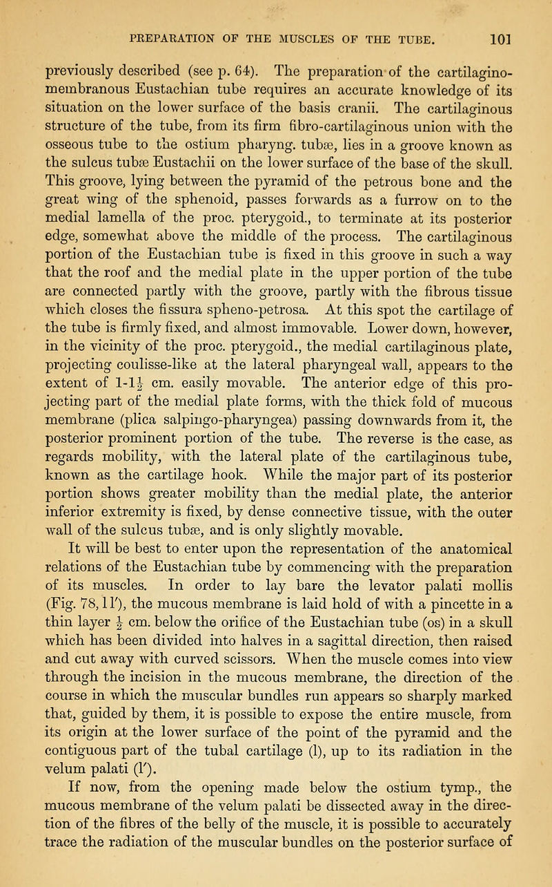 previously described (see p. 64). The preparation of the cartilagino- membranous Eustachian tube requires an accurate knowledge of its situation on the lower surface of the basis cranii. The cartilaginous structure of the tube, from its firm fibro-cartilaginous union with the osseous tube to the ostium pharyng. tubse, lies in a groove known as the sulcus tubse Eustachii on the lower surface of the base of the skull. This groove, lying between the pyramid of the petrous bone and the great wing of the sphenoid, passes forwards as a furrow on to the medial lamella of the proc. pterygoid., to terminate at its posterior edge, somewhat above the middle of the process. The cartilaginous portion of the Eustachian tube is fixed in this groove in such a way that the roof and the medial plate in the upper portion of the tube are connected partly with the groove, partly with the fibrous tissue which closes the fissura spheno-petrosa. At this spot the cartilage of the tube is firmly fixed, and almost immovable. Lower down, however, in the vicinity of the proc. pterygoid., the medial cartilaginous plate, projecting coulisse-like at the lateral pharyngeal wall, appears to the extent of 1-11 cm. easily movable. The anterior edge of this pro- jecting part of the medial plate forms, with the thick fold of mucous membrane (plica salpingo-pharyngea) passing downwards from it, the posterior prominent portion of the tube. The reverse is the case, as regards mobility, with the lateral plate of the cartilaginous tube, known as the cartilage hook. While the major part of its posterior portion shows greater mobility than the medial plate, the anterior inferior extremity is fixed, by dense connective tissue, with the outer wall of the sulcus tubse, and is only slightly movable. It will be best to enter upon the representation of the anatomical relations of the Eustachian tube by commencing with the preparation of its muscles. In order to lay bare the levator palati mollis (Fig. 78,1Y), the mucous membrane is laid hold of with a pincette in a thin layer | cm. below the orifice of the Eustachian tube (os) in a skull which has been divided into halves in a sagittal direction, then raised and cut away with curved scissors. When the muscle comes into view through the incision in the mucous membrane, the direction of the course in which the muscular bundles run appears so sharply marked that, guided by them, it is possible to expose the entire muscle, from its origin at the lower surface of the point of the pyramid and the contiguous part of the tubal cartilage (1), up to its radiation in the velum palati (Y). If now, from the opening made below the ostium tymp., the mucous membrane of the velum palati be dissected away in the direc- tion of the fibres of the belly of the muscle, it is possible to accurately trace the radiation of the muscular bundles on the posterior surface of