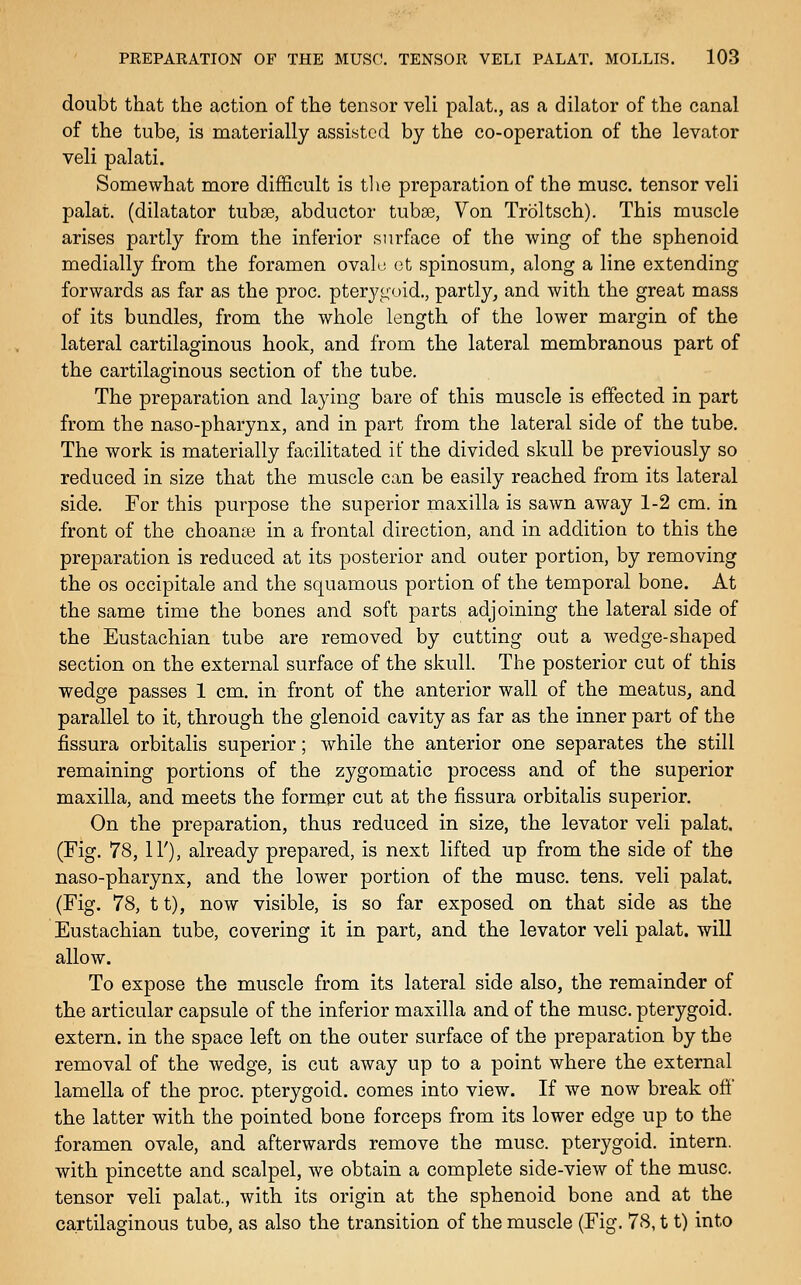 doubt that the action of the tensor veli palat., as a dilator of the canal of the tube, is materially assisted by the co-operation of the levator veli palati. Somewhat more difficult is the preparation of the muse, tensor veli palat. (dilatator tubse, abductor tuboe, Von Troltsch). This muscle arises partly from the inferior surface of the wing of the sphenoid medially from the foramen ovalo (3t spinosum, along a line extending forwards as far as the proc. pterygoid., partly, and with the great mass of its bundles, from the whole length of the lower margin of the lateral cartilaginous hook, and from the lateral membranous part of the cartilaginous section of the tube. The preparation and laying bare of this muscle is effected in part from the naso-pharynx, and in part from the lateral side of the tube. The work is materially facilitated if the divided skull be previously so reduced in size that the muscle can be easily reached from its lateral side. For this purpose the superior maxilla is sawn away 1-2 cm. in front of the choame in a frontal direction, and in addition to this the preparation is reduced at its posterior and outer portion, by removing the OS occipitale and the squamous portion of the temporal bone. At the same time the bones and soft parts adjoining the lateral side of the Eustachian tube are removed by cutting out a wedge-shaped section on the external surface of the skull. The posterior cut of this wedge passes 1 cm. in front of the anterior wall of the meatus, and parallel to it, through the glenoid cavity as far as the inner part of the fissura orbitalis superior; while the anterior one separates the still remaining portions of the zygomatic process and of the superior maxilla, and meets the former cut at the fissura orbitalis superior. On the preparation, thus reduced in size, the levator veli palat. (Fig. 78, IT), already prepared, is next lifted up from the side of the naso-pharynx, and the lower portion of the muse. tens, veli palat. (Fig. 78, 11), now visible, is so far exposed on that side as the Eustachian tube, covering it in part, and the levator veli palat. will allow. To expose the muscle from its lateral side also, the remainder of the articular capsule of the inferior maxilla and of the muse, pterygoid, extern, in the space left on the outer surface of the preparation by the removal of the wedge, is cut away up to a point where the external lamella of the proc. pterygoid, comes into view. If we now break off the latter with the pointed bone forceps from its lower edge up to the foramen ovale, and afterwards remove the muse, pterygoid, intern, with pincette and scalpel, we obtain a complete side-view of the muse, tensor veli palat., with its origin at the sphenoid bone and at the cartilaginous tube, as also the transition of the muscle (Fig. 78,11) into