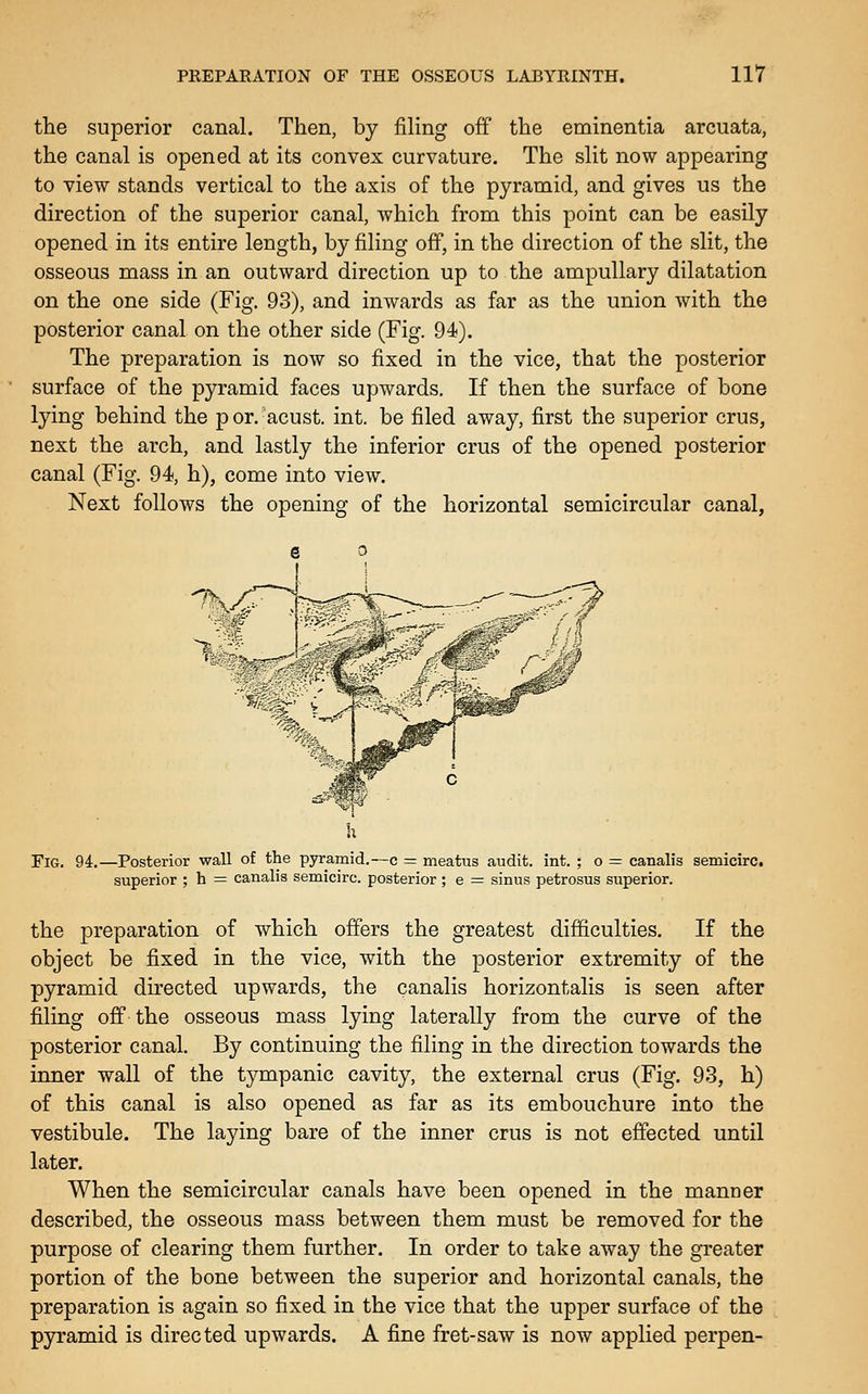 the superior canal. Then, by filing off the eminentia arcuata, the canal is opened at its convex curvature. The slit now appearing to view stands vertical to the axis of the pyramid, and gives us the direction of the superior canal, which from this point can be easily opened in its entire length, by filing off, in the direction of the slit, the osseous mass in an outward direction up to the ampuUary dilatation on the one side (Fig. 93), and inwards as far as the union with the posterior canal on the other side (Fig. 94). The preparation is now so fixed in the vice, that the posterior surface of the pyramid faces upwards. If then the surface of bone lying behind the p or. acust. int. be filed away, first the superior crus, next the arch, and lastly the inferior crus of the opened posterior canal (Fig. 94, h), come into view. Next follows the opening of the horizontal semicircular canal, Fig. 94.—Posterior wall of the pyramid.—c = meatus audit, int. ; o = canalis semicirc. superior ; h = canalis semicirc. posterior ; e = sinus petrosus superior. the preparation of which offers the greatest difficulties. If the object be fixed in the vice, with the posterior extremity of the pyramid directed upwards, the canalis horizontalis is seen after filing off the osseous mass lying laterally from the curve of the posterior canal. By continuing the filing in the direction towards the inner wall of the tympanic cavity, the external crus (Fig. 93, h) of this canal is also opened as far as its embouchure into the vestibule. The laying bare of the inner crus is not effected until later. When the semicircular canals have been opened in the manner described, the osseous mass between them must be removed for the purpose of clearing them further. In order to take away the greater portion of the bone between the superior and horizontal canals, the preparation is again so fixed in the vice that the upper surface of the pyramid is directed upwards. A fine fret-saw is now applied perpen-