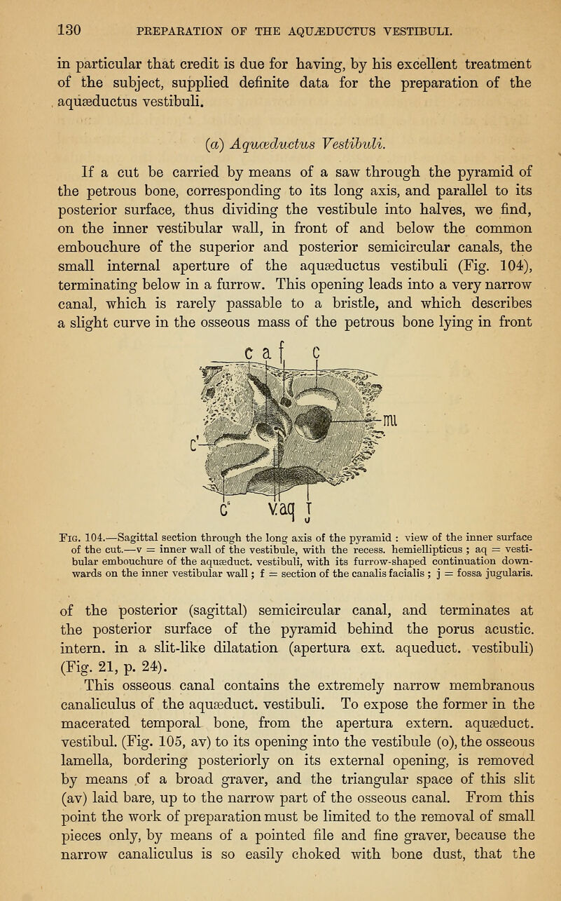 in particular that credit is due for having, by his excellent treatment of the subject, supplied definite data for the preparation of the aquseductus vestibuli. (a) Aquceductus Vestibuli. If a cut be carried by means of a saw through the pyramid of the petrous bone, corresponding to its long axis, and parallel to its posterior surface, thus dividing the vestibule into halves, we find, on the inner vestibular wall, in front of and below the common embouchure of the superior and posterior semicircular canals, the small internal aperture of the aquaeductus vestibuli (Fig. 104), terminating below in a furrow. This opening leads into a very narrow canal, which is rarely passable to a bristle, and which describes a slight curve in the osseous mass of the petrous bone lying in front -f-mi Tig. 104.—Sagittal section through the long axis of the pyramid : view of the inner surface of the cut.—V = inner wall of the vestibule, with the recess, hemiellipticus ; aq = vesti- bular embouchure of the aquseduct. vestibuli, with its furrow-shaped continuation down- wards on the inner vestibular wall; f = section of the canalis facialis ; j = fossa jugularis. of the posterior (sagittal) semicircular canal, and terminates at the posterior surface of the pyramid behind the porus acustic. intern, in a slit-like dilatation (apertura ext. aqueduct, vestibuli) (Fig. 21, p. 24). This osseous canal contains the extremely narrow membranous canaliculus of the aquseduct. vestibuli. To expose the former in the macerated temporal bone, from the apertura extern, aquseduct. vestibul. (Fig. 105, av) to its opening into the vestibule (o), the osseous lamella, bordering posteriorly on its external opening, is removed by means ,of a broad graver, and the triangular space of this slit (av) laid bare, up to the narrow part of the osseous canal. From this point the work of preparation must be limited to the removal of small pieces only, by means of a pointed file and fine graver, because the narrow canaliculus is so easily choked with bone dust, that the