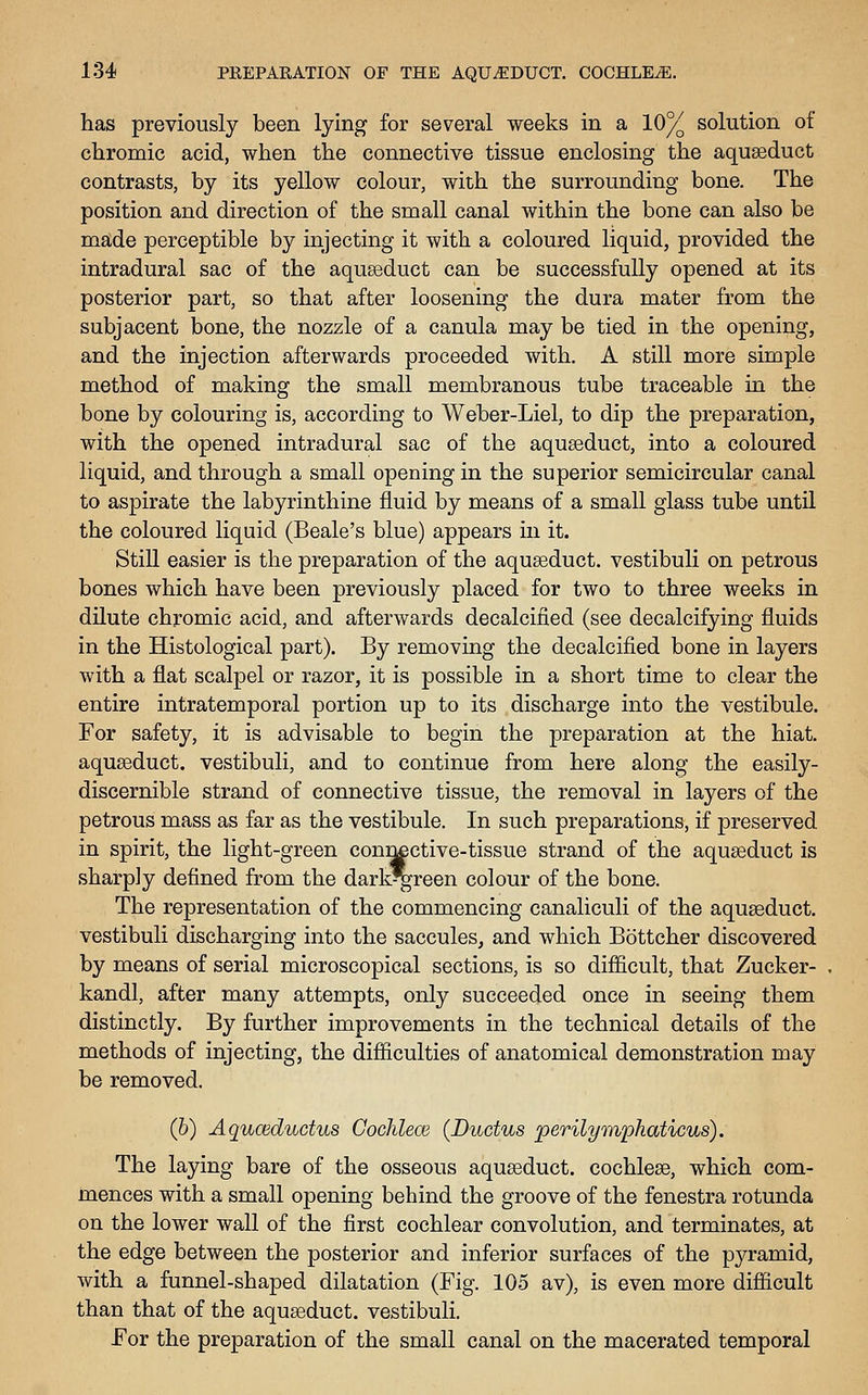 has previously been lying for several weeks in a 10% solution of chromic acid, when the connective tissue enclosing the aquseduct contrasts, by its yellow colour, with the surrounding bone. The position and direction of the small canal within the bone can also be made perceptible by injecting it with a coloured liquid, provided the intradural sac of the aquseduct can be successfully opened at its posterior part, so that after loosening the dura mater from the subjacent bone, the nozzle of a canula may be tied in the opening, and the injection afterwards proceeded with. A still more simple method of making the small membranous tube traceable in the bone by colouring is, according to Weber-Liel, to dip the preparation, with the opened intradural sac of the aquseduct, into a coloured liquid, and through a small opening in the superior semicircular canal to aspirate the labyrinthine fluid by means of a small glass tube until the coloured liquid (Beale's blue) appears in it. Still easier is the preparation of the aquseduct. vestibuli on petrous bones which have been previously placed for two to three weeks in dilute chromic acid, and afterwards decalcified (see decalcifying fluids in the Histological part). By removing the decalcified bone in layers with a flat scalpel or razor, it is possible in a short time to clear the entire intratemporal portion up to its discharge into the vestibule. For safety, it is advisable to begin the preparation at the hiat. aquseduct. vestibuli, and to continue from here along the easily- discernible strand of connective tissue, the removal in layers of the petrous mass as far as the vestibule. In such preparations, if preserved in spirit, the light-green connective-tissue strand of the aquseduct is sharply defined from the dark^reen colour of the bone. The representation of the commencing canaliculi of the aquseduct. vestibuli discharging into the saccules, and which Bottcher discovered by means of serial microscopical sections, is so difficult, that Zucker- kandl, after many attempts, only succeeded once in seeing them distinctly. By further improvements in the technical details of the methods of injecting, the difficulties of anatomical demonstration may be removed. (6) Aquceductus Cochlece {Ductus perilymphaticus). The laying bare of the osseous aquseduct. cochlese, which com- mences with a small opening behind the groove of the fenestra rotunda on the lower wall of the first cochlear convolution, and terminates, at the edge between the posterior and inferior surfaces of the pyramid, with a funnel-shaped dilatation (Fig. 105 av), is even more difficult than that of the aquseduct. vestibuli. For the preparation of the small canal on the macerated temporal