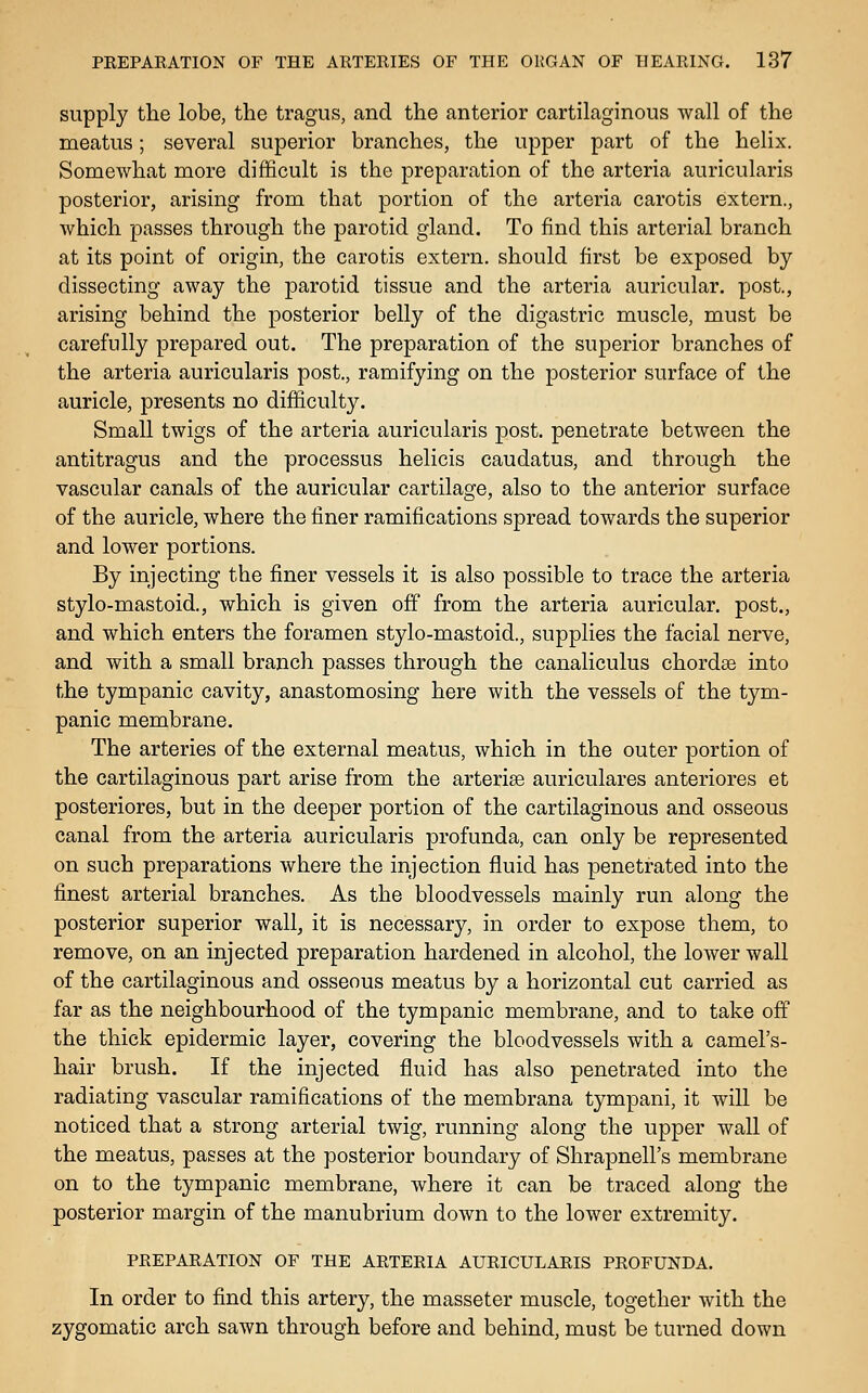 supply the lobe, the tragus, and the anterior cartilaginous wall of the meatus; several superior branches, the upper part of the helix. Somewhat more difficult is the preparation of the arteria auricularis posterior, arising from that portion of the arteria carotis extern., which passes through the parotid gland. To find this arterial branch at its point of origin, the carotis extern, should first be exposed by dissecting away the parotid tissue and the arteria auricular, post., arising behind the posterior belly of the digastric muscle, must be carefully prepared out. The preparation of the superior branches of the arteria auricularis post., ramifying on the posterior surface of the auricle, presents no difficulty. Small twigs of the arteria auricularis post, penetrate between the antitragus and the processus helicis caudatus, and through the vascular canals of the auricular cartilage, also to the anterior surface of the auricle, where the finer ramifications spread towards the superior and lower portions. By injecting the finer vessels it is also possible to trace the arteria stylo-mastoid., which is given off from the arteria auricular, post., and which enters the foramen stylo-mastoid., supplies the facial nerve, and with a small branch passes through the canaliculus chordse into the tympanic cavity, anastomosing here with the vessels of the tym- panic membrane. The arteries of the external meatus, which in the outer portion of the cartilaginous part arise from the arteries auriculares anteriores et posteriores, but in the deeper portion of the cartilaginous and osseous canal from the arteria auricularis profunda, can only be represented on such preparations where the injection fluid has penetrated into the finest arterial branches. As the bloodvessels mainly run along the posterior superior wall, it is necessary, in order to expose them, to remove, on an injected preparation hardened in alcohol, the lower wall of the cartilaginous and osseous meatus by a horizontal cut carried as far as the neighbourhood of the tympanic membrane, and to take off the thick epidermic layer, covering the bloodvessels with a camel's- hair brush. If the injected fluid has also penetrated into the radiating vascular ramifications of the membrana tympani, it will be noticed that a strong arterial twig, running along the upper wall of the meatus, passes at the posterior boundary of Shrapnell's membrane on to the tympanic membrane, where it can be traced along the posterior margin of the manubrium down to the lower extremity. PREPARATION OF THE ARTERIA AURICULARIS PROFUNDA. In order to find this artery, the masseter muscle, together with the zygomatic arch sawn through before and behind, must be turned down