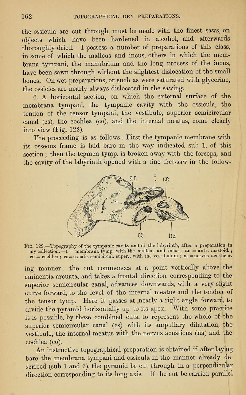 the ossicula are cut through, must be made with the finest saws, on objects which have been hardened in alcohol, and afterwards thoroughly dried. I possess a number of preparations of this class, in some of which the malleus and incus, others in which the mem- brana tympani, the manubrium and the long process of the incus, have been sawn through without the slightest dislocation of the small bones. On wet preparations, or such as were saturated with glycerine, the ossicles are nearly always dislocated in the sawing. 6. A horizontal section, on which the external surface of the membrana tympani, the tympanic cavity with the ossicula, the tendon of the tensor tympani, the vestibule, superior semicircular canal (cs), the cochlea (co), and the internal meatus, come clearly into view (Fig. 122). The proceeding is as follows: First the tympanic membrane with its osseous frame is laid bare in the way indicated sub 1. of this section ; then the tegmen tymp. is broken away with the forceps, and the cavity of the labyrinth opened with a fine fret-saw in the follow- FiG. 122.—Topography of the tympanic cavity and of the labyrinth, after a preparation in my collection.—t = membrana tymp. with the malleus and incus ; an = antr. mastoid. ; CO = cochlea ; cs = canalis semicircul. super., with the vestibulum ; na = nervus acusticus, ing manner: the cut commences at a point vertically above the eminentia arcuata, and takes a frontal direction corresponding to the superior semicircular canal, advances downwards, with a very slight curve forward, to the level of the internal meatus and the tendon of the tensor tymp. Here it passes at nearly a right angle forward, to divide the pyramid horizontally up to its apex. With some practice it is possible, by these combined cuts, to represent the whole of the superior semicircular canal (cs) with its ampuUary dilatation, the vestibule, the internal meatus with the nervus acusticus (na) and the cochlea (co). An instructive topographical preparation is obtained if, after laying bare the membrana tympani and ossicula in the manner already de- scribed (sub 1 and 6), the pyramid be cut through in a perpendicular direction corresponding to its long axis. If the cut be carried parallel