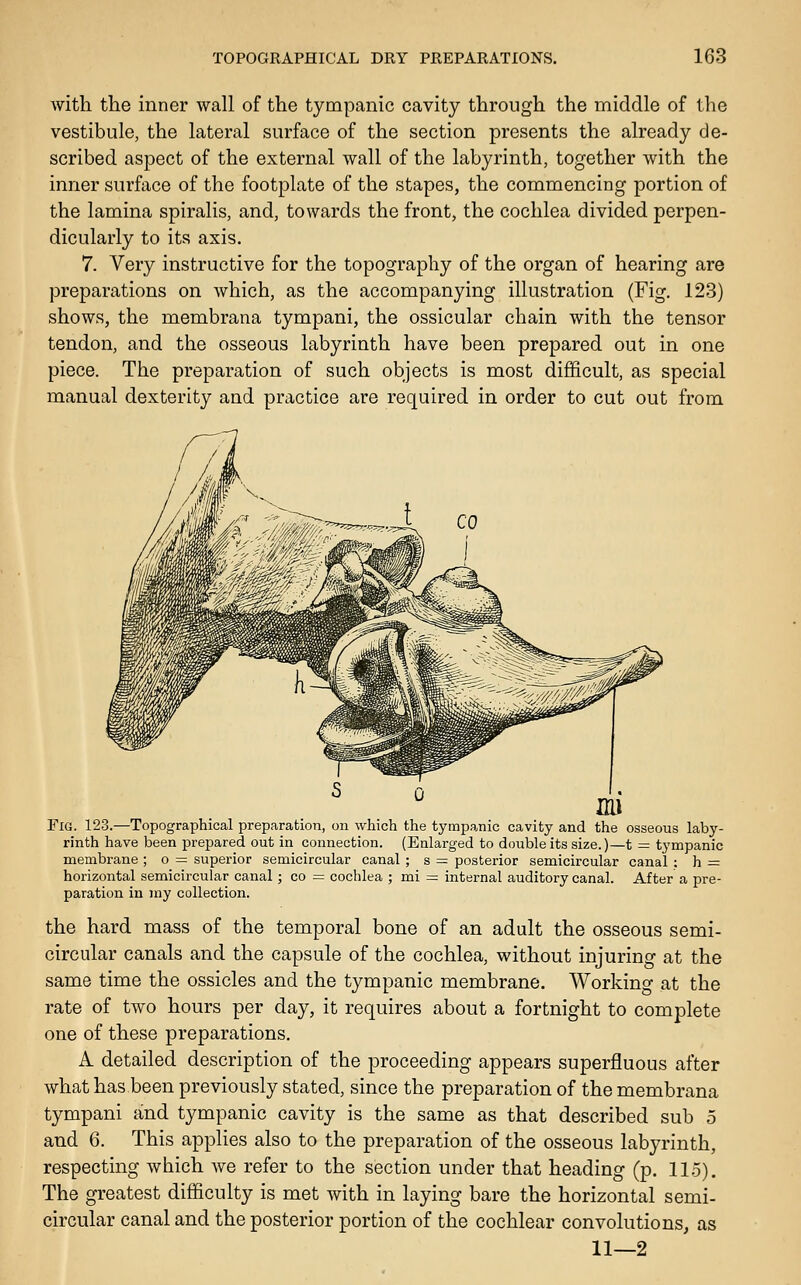 with the inner wall of the tympanic cavity through the middle of the vestibule, the lateral surface of the section presents the already de- scribed aspect of the external wall of the labyrinth, together with the inner surface of the footplate of the stapes, the commencing portion of the lamina spiralis, and, towards the front, the cochlea divided perpen- dicularly to its axis. 7. Very instructive for the topography of the organ of hearing are preparations on which, as the accompanying illustration (Fig. 123) shows, the membrana tympani, the ossicular chain with the tensor tendon, and the osseous labyrinth have been prepared out in one piece. The preparation of such objects is most difficult, as special manual dexterity and practice are required in order to cut out from Fig. 123.—Topographical preparation, on which the tympanic cavity and the osseous laby- rinth have been prepared out in connection. (Enlarged to double its size.)—t = tympanic membrane ; o = superior semicircular canal ; s = posterior semicircular canal : h = horizontal semicircular canal; co — cochlea ; mi = internal auditory canal. After a pre- paration in my collection. the hard mass of the temporal bone of an adult the osseous semi- circular canals and the capsule of the cochlea, without injuring at the same time the ossicles and the tympanic membrane. Working at the rate of two hours per day, it requires about a fortnight to complete one of these preparations. A detailed description of the proceeding appears superfluous after what has been previously stated, since the preparation of the membrana tympani and tympanic cavity is the same as that described sub 5 and 6. This applies also to the preparation of the osseous labyrinth, respecting which we refer to the section under that heading (p. 11.5). The greatest difficulty is met with in laying bare the horizontal semi- circular canal and the posterior portion of the cochlear convolutions, as 11—2