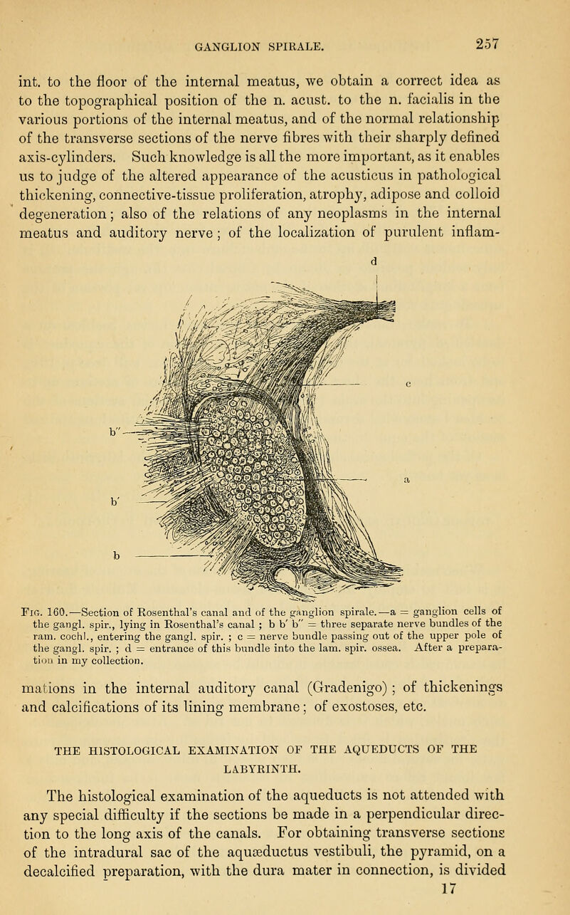 GANGLION SPIRALE. int. to the floor of tlie internal meatus, we obtain a correct idea as to the topographical position of the n. aciist. to the n. facialis in the various portions of the internal meatus, and of the normal relationship of the transverse sections of the nerve fibres with their sharply defined axis-cylinders. Such knowledge is all the more important, as it enables us to judge of the altered appearance of the acusticus in pathological thickening, connective-tissue proliferation, atrophy, adipose and colloid degeneration; also of the relations of any neoplasms in the internal meatus and auditory nerve ; of the localization of purulent inflam- b- ¥ia. 160.—Section of Rosenthal's canal and of the ganglion spirale.—a = ganglion cells of the gangl. spir., lying in Rosenthars canal ; b b' b = three separate nerve bundles of the ram. cochl., entering the gangl. spir. ; c = nerve bundle passing out of the upper pole of the gangl. spir. ; d = entrance of this bundle into the lam. spir. ossea. After a prepara- tion in my collection. mations in the internal auditory canal (Gradenigo) ; of thickenings and calcifications of its lining membrane; of exostoses, etc. THE HISTOLOGICAL EXAMINATION OF THE AQUEDUCTS OF THE LABYRINTH. The histological examination of the aqueducts is not attended with any special difficulty if the sections be made in a perpendicular direc- tion to the long axis of the canals. For obtaining transverse sections of the intradural sac of the aquceductus vestibuli, the pyramid, on a decalcified preparation, with the dura mater in connection, is divided 17