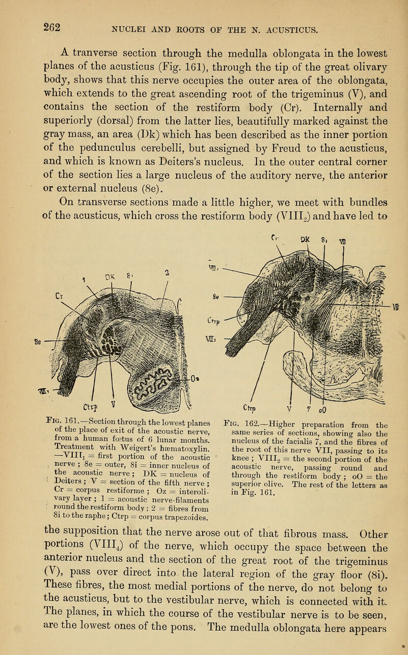 A tranverse section through the medulla oblongata in the lowest planes of the acusticus (Fig. 161), through the tip of the great olivary body, shows that this nerve occupies the outer area of the oblongata, which extends to the great ascending root of the trigeminus (V), and contains the section of the restiform body (Cr). Internally and superiorly (dorsal) from the latter lies, beautifully marked against the gray mass, an area (I)k) which has been described as the inner portion of the pedunculus cerebelli, but assigned by Freud to the acusticus, and which is known as Deiters's nucleus. In the outer central corner of the section lies a large nucleus of the auditory nerve, the anterior or external nucleus (8e). On transverse sections made a little higher, we meet with bundles of the acusticus, which cross the restiform body (VIIIo) and have led to Fig. 162.—Higher preparation from the saroe series of sections, showing also the nucleus of the facialis 7, and the fibres of the root of this nerve VII, passing to its knee ; VIIIj =: the second portion of the acoustic nerve, passing round and through the restiform body ; oO = the superior olive. The rest of the letters as in Fig. 161. Fig. 161. —Section through the lowest planes of the place of exit of the acoustic nerve, from a human fcEtus of 6 lunar months. Treatment with Weigert's hsematoxylin. —VIIIj = first portion of the acoustic nerve ; 8e = outer, 8i = inner nucleus of the acoustic nerve; DK = nucleus of ' Deiters ; V = section of the fifth nerve ; Cr = corpus restiforme ; Oz = interoli- vary layer ; 1 = acoustic nerve-filaments round the restiform body : 2 = fibres from 8i to the raphe; Ctrp = corpus trapezoides. the supposition that the nerve arose out of that fibrous mass. Other portions (VIIIJ of the nerve, which occupy the space between the anterior nucleus and the section of the great root of the trigeminus (V), pass over direct into the lateral region of the gray floor (8i). These fibres, the most medial portions of the nerve, do not belong to the acusticus, but to the vestibular nerve, which is connected with it. The planes, in which the course of the vestibular nerve is to be seen, are the lowest ones of the pons. The medulla oblongata here appears