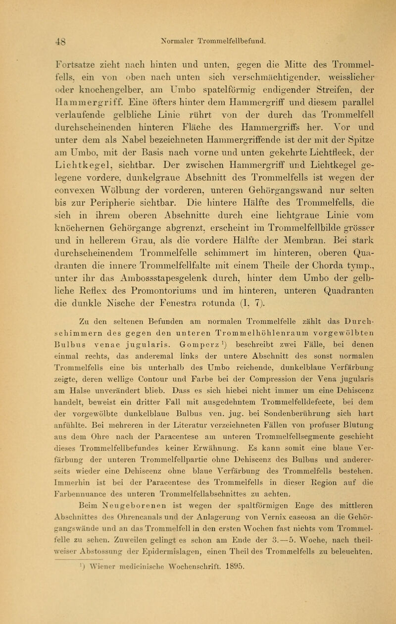 Fortsatze zieht nach hinten nnd unten, gegen die Mitte des Trommel- fells, ein von oben nach unten sich verschmächtigender. weisslicher oder knochengelber, am Umbo spateliormig endigender Streifen, der Hammergriff. Eine öfters hinter dem Hammergriff und diesem parallel verlaufende gelbliche Linie rührt von der durch das Trommelfell durchscheinenden hinteren Fläche des Hammergriffs her. Vor und unter dem als Nabel bezeichneten Hammergriffende ist der mit der Spitze am Umbo. mit der Basis nach vorne und unten gekehrte Lichtfleck, der Lichtkegel, sichtbar. Der zwischen Hammergriff und Lichtkegel ge- leo'ene vordere. dunkelgTaue Abschnitt des Trommelfells ist wee-en der CO ~ convexen Wölbung der vorderen, unteren Gehörgangswand nur selten bis zur Peripherie sichtbar. Die hintere Hälfte des Trommelfells, die sich in ihrem oberen Abschnitte durch eine lichtgraue Linie vom knöchernen Gehörgange abgrenzt, erscheint im Trommelfellbilde grösser und in hellerem Grau, als die vordere Hälfte der Membran. Bei stai'k durchscheinendem Trommelfelle schimmert im hinteren, oberen Qua- dranten die innere Trommelfellfalte mit einem Theile der Chorda tymp., unter ihr das Ambossstapesgelenk durch, hinter dem Umbo der gelb- liche Reflex des Promontoriums und im hinteren, unteren Quadranten die dunkle Nische der Fenestra rotunda (I, 7). Zu den seltenen Befunden am normalen Trommelfelle zählt das Durch- schimmern des gegen den unteren Trommelhöhlenraum vorgewölbten Bulbus venae jugularis. Gomporz ^) beschreibt zwei Fälle, bei denen einmal rechts, das anderemal links der untere Abschnitt des sonst normalen Trommelfells eine bis unterhalb des Umbo reichende, dunkelblaue Verfärbung- zeigte, deren wellige Contour und Farbe bei der Compression der Vena jugularis am Halse unverändert blieb. Dass es sich hiebei nicht immer um eine Dehiscenz handelt, beweist ein dritter Fall mit ausgedehntem Trommelfelldefecte, bei dem der vorgewölbte dunkelblaue Bulbus ven. jug. bei Sondenberührung sich hart anfühlte. Bei mehreren in der Literatur verzeichneten Fällen von profuser Blutung aus dem Ohre nach der Paracentese am unteren Trommelfellsegmente geschieht dieses Trommelfellbefundes keiner Erwähnung. Es kann somit eine blaue Ver- färbung der unteren Trommelfellpartie ohne Dehiscenz des Bulbus und anderer- seits wieder eine Dehiscenz ohne blaue Verfärbung des Trommelfells bestehen. Immerhin ist bei der Paracentese des Trommelfells in dieser llegion auf die Farbennuance des unteren Trommelfellabschnittes zu achten. Beim Neugeborenen ist wegen der spaltförmigcn Enge des mittleren Abschnittes des Ohrencanals und der Anlagerung von Vernix caseosa an die Gehür- gangswände und an das Trommelfell in den ersten Wochen fast nichts vom Trommel- felle zu sehen. Zuweilen gelingt es schon am Ende der 3.—^5. Woche, nach theil- weiser Abstossung der Epidermislagen, einen llieil des Trommelfells zu beleuchten. 'J Wiener medieinischo Wochenschrift. 1895.