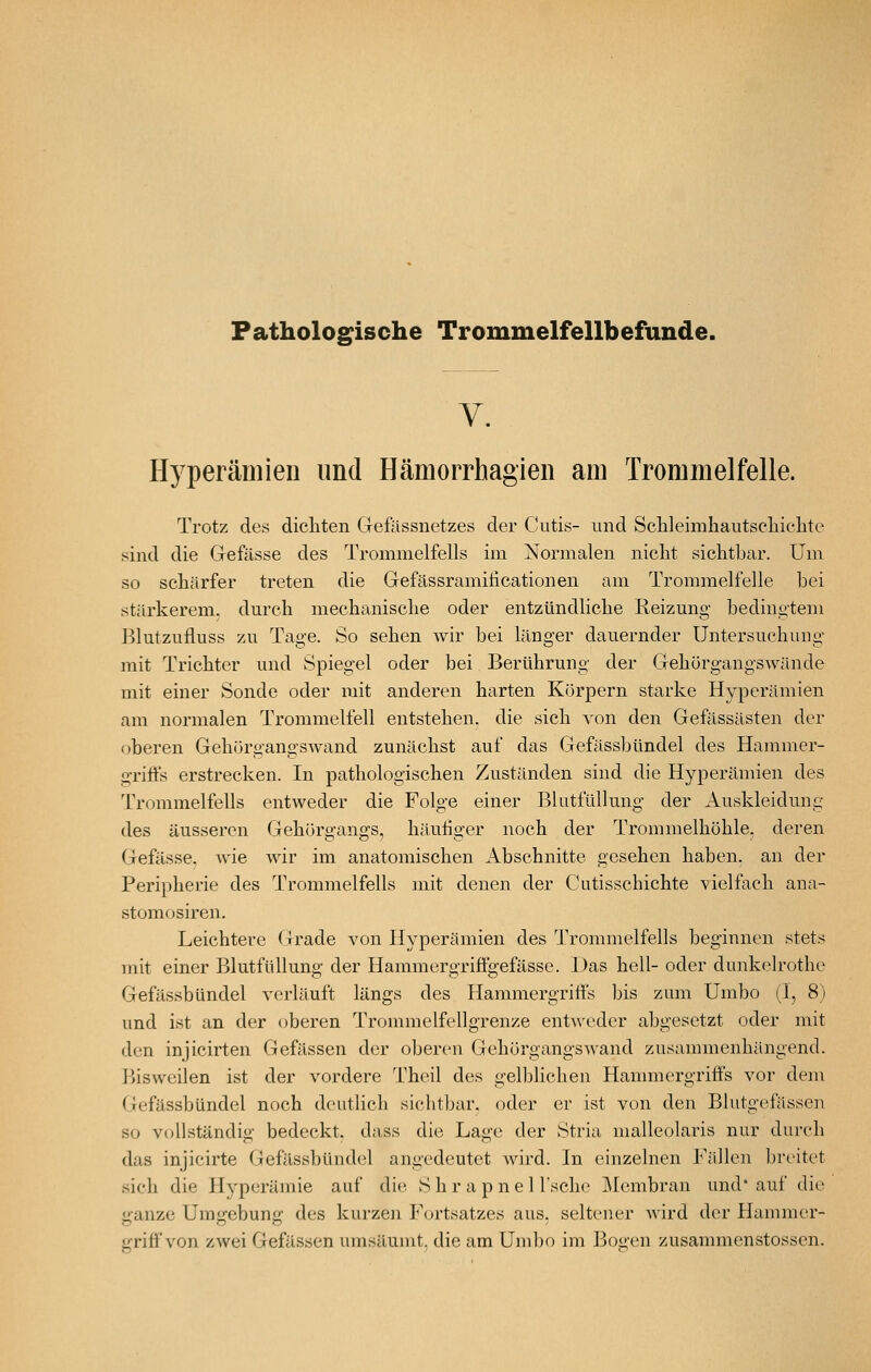 Fatholog^ische Trommelfellbefunde. V. Hyperämien und Hämorrhagien am Trommelfelle. Trotz des dicliten Gefässnetzes der Cutis- und ScUeimhautscliiclite sind die Gefässe des Trommelfells im Normalen nicht sichtbar. Um so schärfer treten die Gefässramiticationen am Trommelfelle bei stärkerem, durch mechanische oder entzündliche Reizung bedingtem Blutzufluss zu Tage. So sehen wir bei länger dauernder Untersuchung mit Trichter und Spiegel oder bei Berührung der Gehörgangswände mit einer Sonde oder mit anderen harten Körpern starke Hyperämien am normalen Trommelfell entstehen, die sich von den Gefässästen der oberen Gehörgangswand zunächst auf das Gefässbündel des Hammer- griffs erstrecken. In pathologischen Zuständen sind die Hyperämien des Trommelfells entweder die Folge einer Blutfüllung der Auskleidung des äusseren Gehörgangs, häutiger noch der Trommelhöhle, deren Gefässe. wie wir im anatomischen Abschnitte gesehen haben, an der Peripherie des Trommelfells mit denen der Cutisschichte vielfach ana- stomosiren. Leichtere Grade von Hyperämien des Trommelfells beginnen stets mit einer Blutfüllung der Hammergriffgefässc. Das hell- oder dunkclrothe Gefässbündel verläuft längs des Hammergriffs bis zum Umbo (1, 8) und ist an der oberen Trommelfellgrenze entA\'edcr abgesetzt oder mit den injicirten Gefässen der oberen Gehörgangswand zusannnenhängend. Bisweilen ist der vordere Theil des gell^lichen Hammergriffs vor dem Gefässbündel noch deutlich sichtbar, oder er ist von den Blutgefässen so vollständig bedeckt, dass die Lage der Stria nialleolaris nur durch das injicirte Gefässbündel angedeutet wird. In einzelnen Fällen breitet sich die Hyperämie auf die S h r a p n e 1 l'sche J\Icmbran und* auf die ganze Umgebung des kurzen P'ortsatzes aus, seltener Avird der Hammer- griff von zwei Gefässen umsäumt, die am Um1)o im Bogen zusammenstossen.