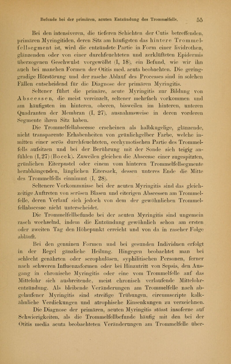 Boi d(Mi intensiveren, die tieferen Solucliten der Cutis ]}etreffenden. ]>rini<iren Myringitiden. deren Sitz am häufigsten das hintere Tromiuel- f ellsegment ist. wird die entzAindcte Partie in Form einer lividrothen, glänzenden oder von einer durehfeuchteten und zerklüfteten Epidermis üherzogenen Geschwulst vorgewölbt (I, 18). ein Befund. Avie wir ihn auch l)ei manchen Formen der Otitis med. acuta beohachten. Die gering- gradige Hörstörung und der rasche A])lauf des Processes sind in solchen Fällen entscheidend für die Diagnose der p]-imäreji Myringitis. Seltener führt die primäre, acute Myringitis zur Bildung von A1) s c e s s e n. die meist vereinzelt, seltener mehrfach vorkommen und am häutigsten im hinteren, oberen, bisweilen im hinteren, unteren Quadranten der Membran (I. 27), ausnahmsweise in deren vorderen Segmente ihren Sitz haben. Die Trommelfellabscesse erscheinen als halbkugelige, glänzende, nicht transparente Erhabenheiten von grünlichgelber Farbe, welche in- mitten einer serös durchfeuchteten, ecchymotischen Partie des Trommel- fells aufsitzen und bei der Berührung mit der Sonde sich teigig an- fühlen (1,27) (Boeck). Zuweilen gleichen die Abscesse einer zugespitzten, grünlichen Eiterpustel oder einem vom hinteren Trommelfellsegmente herabhängenden, länglichen Eitersack, dessen unteres Ende die Mitte des Trommelfells einnimmt (I, 28). Seltenere Vorkommnisse bei der acuten Myringitis sind das gleich- zeitige Auftreten von serösen Blasen und eiterigen Aijscessen am Trommel- felle, deren Verlauf sich jedoch von dem der gewöhnlichen Trommel- fellabscesse nicht unterscheidet. Die Trommelfellbefunde bei der acuten Myringitis sind ungemein rasch wechselnd, indem die Entzündung gewöhnlich schon am ersten oder zweiten Tag den Höhepunkt erreicht und von da in rascher Folge aljläuft. Bei den genuinen Formen und bei gesunden Individuen erfolgt in der Regel gänzliche Heilung. Hingegen beobachtet man ])ei schlecht genährten oder scrophulösen. syphilitischen Personen, ferner nach schweren Influenza formen oder bei Hinzutritt von Sepsis, den Aus- gang in chronische Myringitis oder eine vom Trommelfelle auf das Mittelohr sich ausbreitende, meist chronisch verlaufende Mittelohr- entzündung. Als bleiljende Veränderungen am Trommelfelle nach ab- gelaufener 3Iyringitis sind streifige Trübungen, circumscripte kalk- ähnliche Verdickungen und atrophische Einsenkungen zu verzeichnen. Die Diagnose der primären, acuten Myringitis stösst insoferne auf Schwaerigkeiten. als die Trommelfellbefunde häufig mit den bei der Otitis media acuta beobachteten Veränderungen am Trommelfelle über-