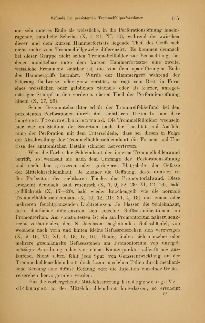 nur sein unteres Ende als weissliche. in die Perforationsijffnung hinein- ragende, rundliehe Scheibe (X, 7, 21. XL 10), während der zwischen dieser und dem kurzen Hammerfortsatz liegende Theil des Griffs sich nicht mehr vom Trommelfellgewebe differenzirt. Es kommen demnach bei dieser Gruppe nicht selten Trommelfellbilder zur Beol)achtung. bei denen unmittelbar unter dem kurzen Hammerfortsatze eine zweite, weissliche Prominenz sichtbar ist, die von dem spateiförmigen Ende des Hammergriffs herrührt. Wurde der Hammergriff während der Eiterung theilweise oder ganz zerstört, so ragt sein Rest in Form eines weisslichen oder gelblichen Stachels oder als kurzer, unregel- mässiger Stumpf in den vorderen, oberen Theil der Perforationsüffnung hinein (X. 17, 23). Seinen Gesammtcharakter erhält der Trommelfellbefund bei den persistenten Perforationen durch die sichtbaren Details an der inneren Trommelhöhlen wand. Die Trommelfellbilder Avechseln hier wie im Stadium der Secretion nach der Localität und Ausdeh- nung der Perforation mit dem Unterschiede, dass bei diesen in Folge der Abschwelluns: der Trommelhöhlenschleimhaut die Formen und Um- risse des anatomischen Details schärfer hervortreten. Was die Farbe der Schleimhaut der inneren Trommelhöhlenwand betrifft, so -wechselt sie nach dem Umfange der PerforationsÖffnung und nach dem grösseren oder geringeren Blutgehalte der Gefässe der Mittelohrschleimhaut. Je kleiner die Oeffnung, desto dunkler ist der Farbenton des sichtbaren Theiles der Promontorialwand. Diese erscheint demnach bald rosenroth (X, 7, 9, 22, 23; XI, 12. 16), bald gelblichroth (X. 17—20), bald wieder knochengelb wie die normale Trommelhöhlenschleimhaut (X. 10, 12, 21; XI, 4, 13), mit einem oder mehreren feuchtglänzenden Lichtreflexen. Je blässer die Schleimhaut^ desto deutlicher differenziren sich einzelne Gefässramificationen am Promontorium. Am constantesten ist ein am Promontorium nahezu senk- recht verlaufendes, den N. Jacobsoni begleitendes Gefässbündel, von welchem nach vorn und hinten kleine Gefässreiserchen sich verzweigen (X, 9. 19, 23; XL 4, 13, 15, 16). Häufig finden sich einzelne oder mehrere geschlängelte Gefässästchen am Promontorium von unregel- mässiger Anordnung oder von einem Knotenpunkte radienförmig aus- laufend. Xicht selten fehlt jede Spur von Gef^issentwicklung an der Trommelhöhlenschleimhaut, doch kann in solchen Fällen durch mechani- sche Reizung eine diffuse Röthung oder die Injection einzelner Gefäss- reiserchen hervorgerufen werden. Hat die vorhergehende Mittelohreiterung b i n d e g e w e 1) i g e Ver- dickungen an der Mittelohrschleimhaut hinterlassen, so erscheint