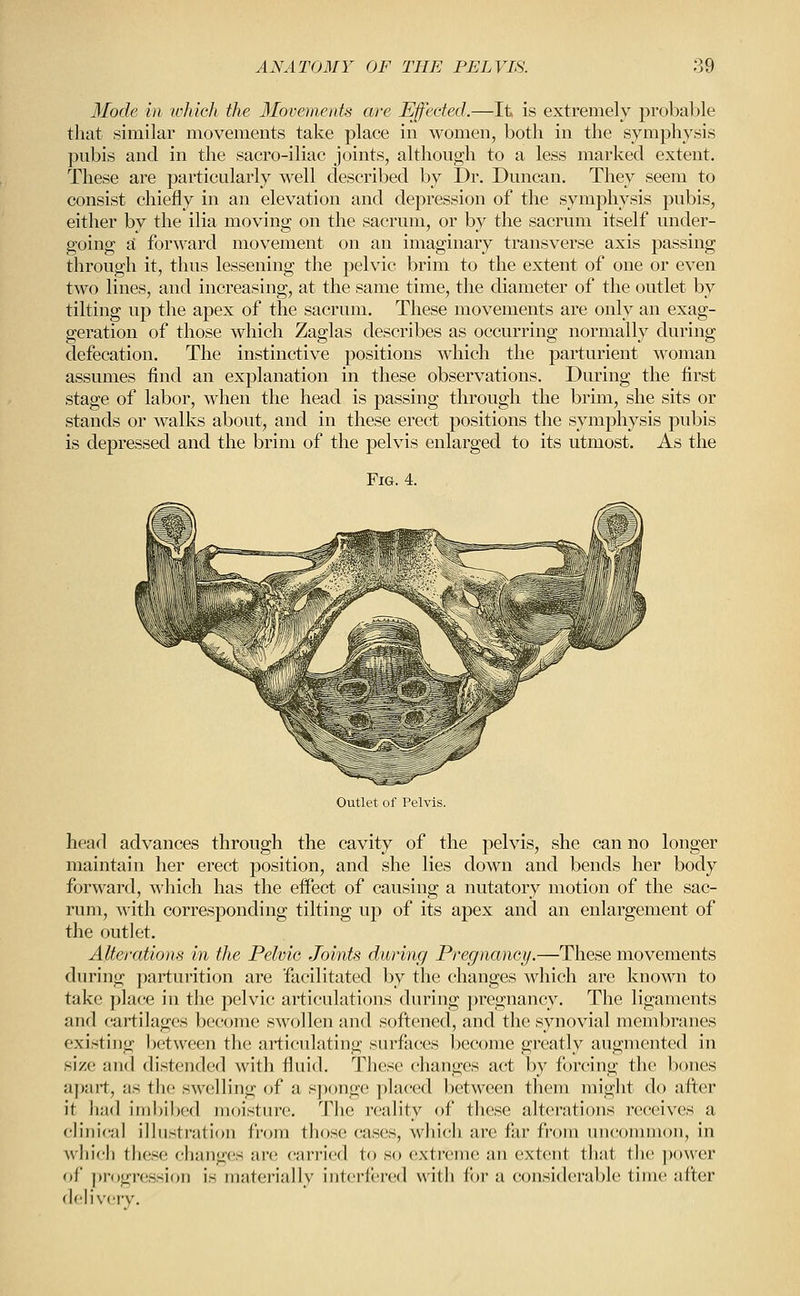 Mode in lohich the Movements are Effected.—It is extremely probable that similar movements take place in women, both in the symphysis pubis and in the sacro-iliac joints, although to a less marked extent. These are particularly well described by Dr. Duncan. They seem to consist chiefly in an elevation and depression of the symphysis pubis, either by the ilia moving on the sacrum, or by the sacrum itself under- going a forM^ard movement on an imaginary transverse axis passing through it, thus lessening the pelvic brim to the extent of one or even two lines, and increasing, at the same time, the diameter of the outlet by tilting up the apex of the sacrum. These movements are only an exag- geration of those which Zaglas describes as occurring normally during defecation. The instinctive positions which the parturient woman assumes find an explanation in these observations. During the first stage of labor, when the head is passing through the brim, she sits or stands or walks about, and in these erect positions the symphysis pubis is depressed and the brim of the pelvis enlarged to its utmost. As the Fig. 4. Outlet of Pelvis. head advances through the cavity of the pelvis, she can no longer maintain her erect position, and she lies down and bends her body forward, which has the effect of causing a nutatory motion of the sac- rum, with corresponding tilting up of its apex and an enlargement of the outlet. Alterations in the Pelvic Joints during Pregnancy.—These movements during j^arturition are facilitated by the changes which are known to take place in the pelvic articulations during pregnancy. The ligaments and cartilages become swollen and softened, and the synovial membranes existing l)etween the articulating surfaces become greatly augmented in size and distended with fluid. These changes act by forcing the bones a))art, as the swelling of a sj)<)ng(! ]ila('ed between them might do after it had iiiil)il)ed moisture. The reality of these alterations receives a clinical illustration from those cases, which are far from nn(»mmon, in which these changes are carried to so extreme an extent that the power of ])r(jgression is materially interfered with for a considerable time after delivery.