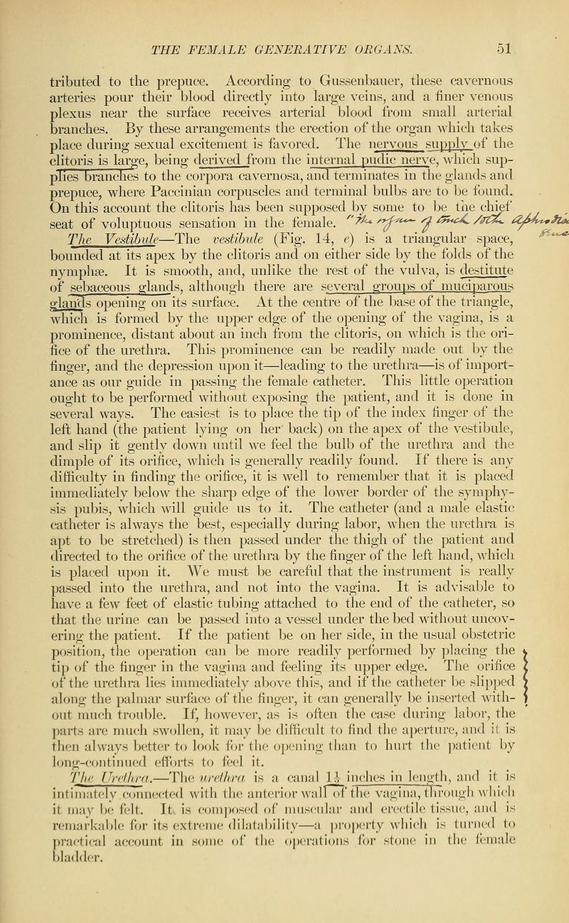 tributed to the prepuce. According to Gussenbauer, these cavernous arteries pour their blood directly into large veins, and a finer venous plexus near the surface receives arterial blood from small arterial branches. By these arrangements the erection of the organ which takes place during sexual excitement is favored. The nervous supply of the clitoris is large, being derived from the internal pudic nerve, which sup- plies branches to the corpora cavernosa, and terminates in the glands and prepuce, where Paccinian corpuscles and terminal bulbs are to be found. On this account the clitoris has been supposed by some to be the t^hipf seat of voluptuous sensation in the female. ^'^^ /^>*— ^ /^J^ /^^SC O^^^ The Vedibule—The vestibule (Fig. 14, e) is a triangular space, ^^ bounded at its apex by the clitoris and on either side by the folds of the nymphse. It is smooth, and, unlike the rest of the vulva, is destitute of sebaceous glands, although there are several groups of muciparous glaiids opening on its surface. At the centre of the base of the triangle, which is formed by the upper edge of the opening of the vagina, is a prominence, distant about an inch from the clitoris, on which is the ori- fice of the urethra. This prominence can be readily made out by the finger, and the depression upon it—leading to the urethra—is of import- ance as our guide in passing the female catheter. This little operation ought to be performed without exposing the patient, and it is done in several ways. The easiest is to place the tip of the index finger of the left hand (the patient lying on her back) on the apex of the vestibule, and slip it gently down until we feel the bulb of the urethra and the dimple of its orifice, which is generally readily found. If there is any difficulty in finding the orifice, it is well to remember that it is placed immediately below the sharp edge of the lower border of the symphy- sis pubis, which will guide us to it. The catheter (and a male elastic catheter is always the best, especially during labor, when the urethra is apt to be stretched) is then passed under the thigh of the patient and directed to the orifice of the urethra by the finger of the left hand, which is placed upon it. We must be careful that the instrument is really passed into the urethra, and not into the vagina. It is advisable to have a few feet of elastic tubing attached to the end of the catheter, so that the urine can be passed into a vessel under the bed without uncov- ering the patient. If the patient be on her side, in the usual obstetric position, the operation can be more readily performed by placing the k tip of the finger in the vagina and feeling its upper edge. The orifice i of the urethra lies immediately above this, and if the catheter be slipped V along the palmar surface of the finger, it can generally be inserted with- ) out much trouble. If, however, as is often the case during labor, the parts are nui(;h swollen, it may be difficult to find the aperture, and it is then always better to look for the opening than to hurt the patient by lf>ng-continued efforts to feel it. lite UrefJmi.—The urethra is a canal 11 inches in length, and it is intimately.c(7nnected with the anterior wairT)! the vagina, through which it may be felt. It> is (;om|)()sed of muscular and erectile tissue, and is remarkable for its extreme dilatability—a |)roperty which is turned to practical account in some of the operations fin* stone in the female bladder.