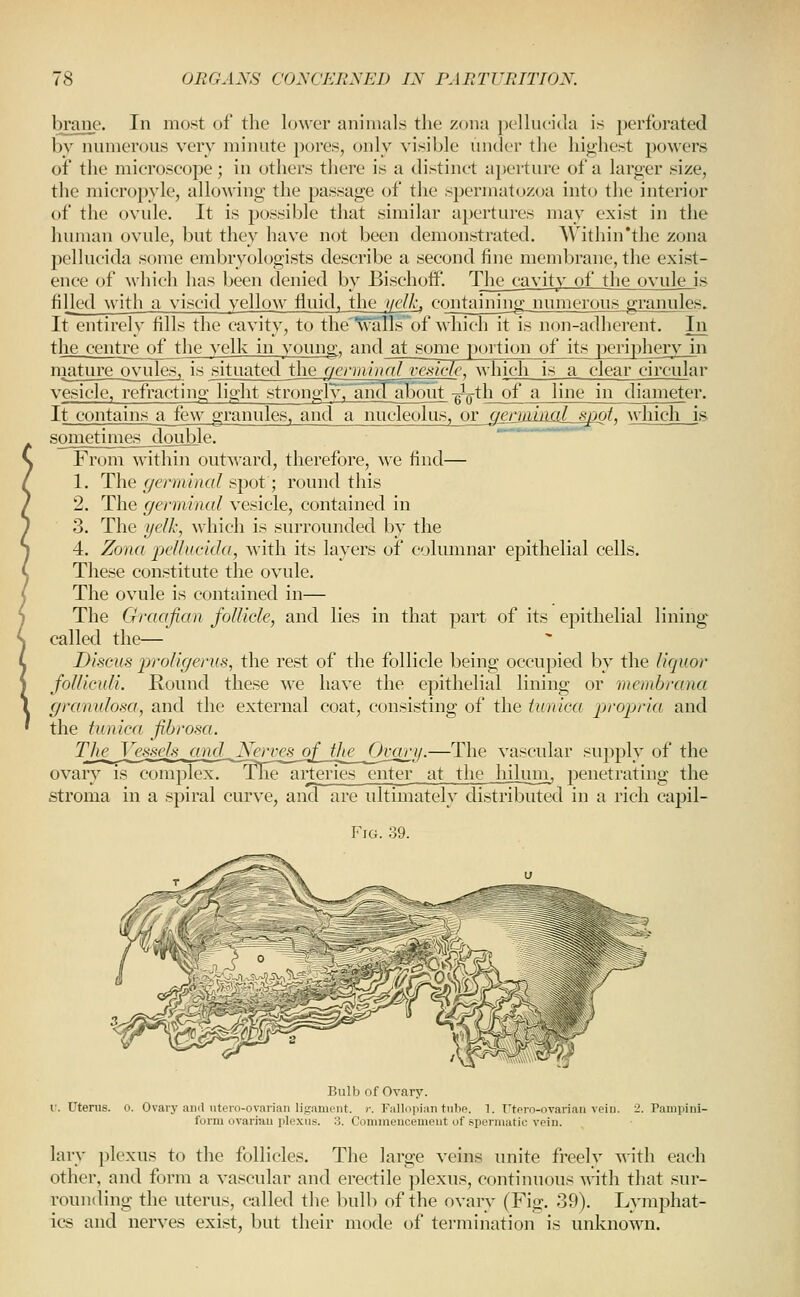 brane. In most of the lower aninuils tlie zona pellucida is perforated by nnnierons very minnte pores, only visible inuler the highest powers of the microscope; in others there is a distinct aperture of a larger size, the micropyle, allowing the passage of the spermatozoa into the interior of the ovule. It is possible that similar apertures may exist in the human ovule, but they have not been demonstrated. Within'the zona pellucida some embryologists describe a second fine membrane, the exist- ence of which has been denied by Bischoff. The_C'avity of the ovule is filled with a viscid yellow fluid, the yelk, containing,numerous granules. It entirely fills the cavity, to the'waTlsof which it is non-adherent. In the centre of the yelk in young, and aj_some ]3ortion of its ]3eripherv_ln mature ovules, is situated the_.r/r///;/;/^//rc>J^?'c/<, which is a clear circular vesicle, refracting light stronglv, and about -^t\\ of a line in diameter. It contains a few granules, and a nucleolus, or gerijiiiiaL^pgt, which is sometimes double. ' ' ^ From within outward, therefore, we find— 1. The germinal is^ot; round this 2. The germinal vesicle, contained in 3. The yelk, which is surroiuided by the 4. Zona pellaekla, M'ith its layers of columnar epithelial cells. These constitute the ovule. The ovule is contained in— The Graafian follicle, and lies in that part of its epithelial lining called the— Discus 2^1'oHgerus, the rest of the follicle being occupied by the liquor folliculi. Round these we have the epithelial lining or membrana granulosa, and the external coat, consisting of the tunica propria and the tunica fibrosa. TJie^^s^els^inxl^Nerves^of_Jh€__Oyciry.—The vascular supply of the ovary is complex. THitT^tei'ies^^ci^^ at the hilnm, penetrating the stroma in a spiral curve, and are ultimately distributed in a rich capil- Fic4. 39. Bulb of Ovary, r. Uterus, o. Ovary ami utoin-ov.niiaii iijianiciit. r. Fallopian tiibn. 1. T'tnin-nvariaii vein, form ovariau plexus. 3. Coniineuceuieiit uf spermatic vein. I'ampini- larv plexus to the follicles. The large veins unite freely with each other, and form a vascular and erectile plexus, continuous with that sur- ronnding the uterus, called the bulb of the ovary (Fig. 39). Lymphat- ics and nerves exist, but their mode of termination is unknown.