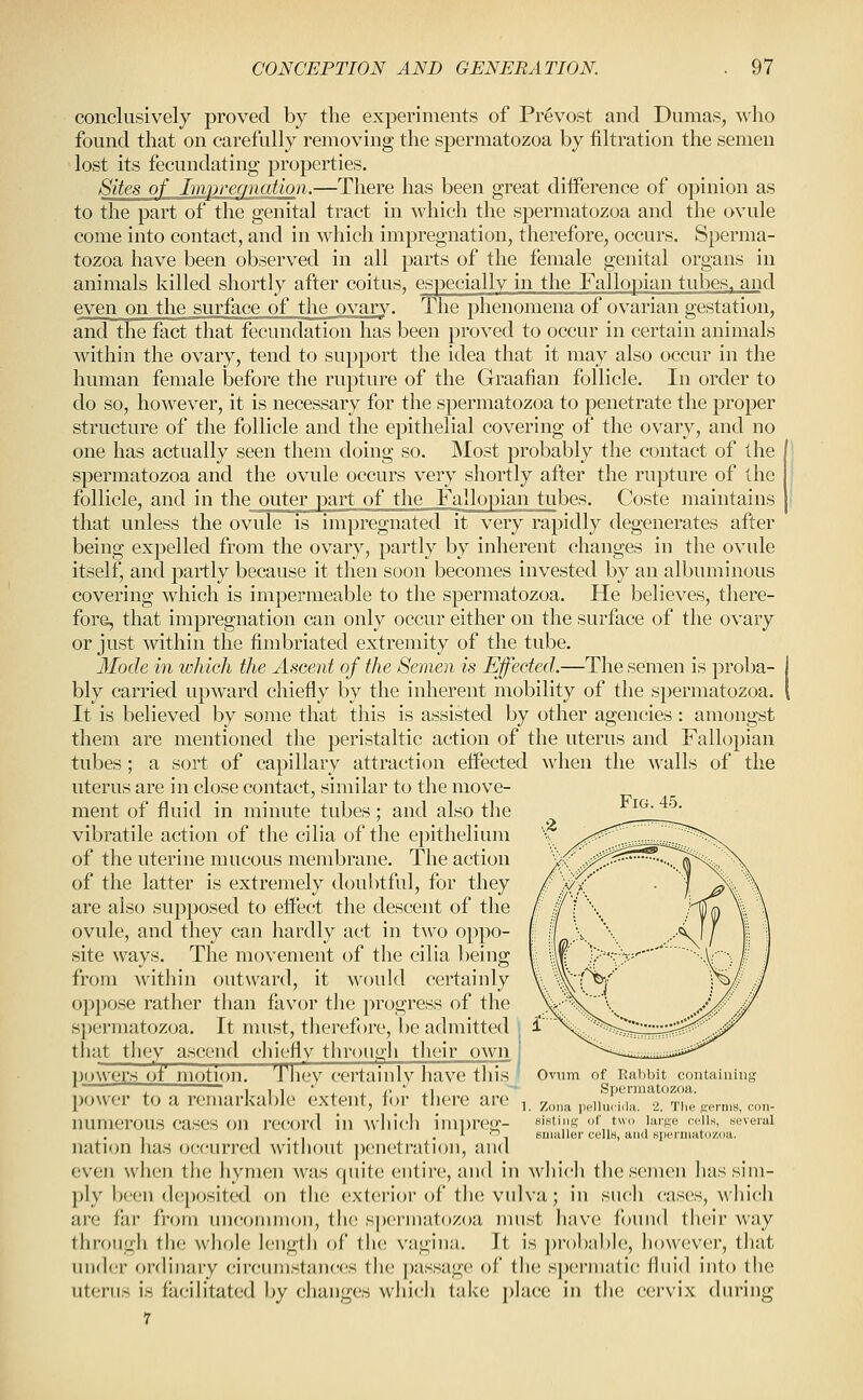 conclusively proved by the experiments of Prevost and Dumas, who found that on carefully removing the spermatozoa by filtration the semen lost its fecundating properties. Sites oL_Jj2}lii:(^g7iation.—There has been great difference of opinion as to the part of the genital tract in which the spermatozoa and the ovule come into contact, and in which impregnation, therefore, occurs. Sperma- tozoa have been observed in all parts of the female genital organs in animals killed shortly after coitus, es]3ecially in the Fallopian tubes, and even on the surface of the ovary. The phenomena of ovarian gestation, and the fact that fecundation has been proved to occur in certain animals within the ovary, tend to support the idea that it may also occur in the human female before the rupture of the Graafian follicle. In order to do so, however, it is necessary for the spermatozoa to penetrate the proper structure of the follicle and the epithelial covering of the ovary, and no one has actually seen them doing so. Most probably the contact of the spermatozoa and the ovule occurs very shortly after the rupture of the follicle, and in the outer part of the Fallo]3ian tubes. Coste maintains that unless the ovule is impregnated it very rapidly degenerates after being expelled from the ovary, partly by inherent changes in the ovule itself, and partly because it then soon becomes invested by an albuminous covering which is impermeable to the spermatozoa. He believes, there- fore, that impregnation can only occur either on the surface of the ovary or just within the fimbriated extremity of the tube. Mode in which the Ascent of the Semen is Effected.—The semen is proba- bly carried upward chiefly by the inherent mobility of the spermatozoa. It is believed by some that this is assisted by other agencies: amongst them are mentioned the peristaltic action of the uterus and Fallopian tubes ; a sort of capillary attraction effected when the walls of the uterus are in close contact, similar to the move- ment of fluid in minute tubes; and also the vibratile action of the cilia of the epithelium of the uterine mucous membrane. The action of the latter is extremely doubtful, for they are also supposed to effect the descent of the ovule, and they can hardly act in two oppo- site ways. The movement of the cilia being from Avithin outward, it would certainly oppose rather than favor the progress of the S})erniatozoa. It must, therefore, be admitted that they ascend chiefly throutyli tlieir own po^vers of motion Tliey certainly have this power to a remarkable extent, for there are numerous cases on record in which im})reg- nation has occurred without penetration, and even when the hymen Avas quite entire, and in Avliicli tlie semen has sim- ply l)een deposited on the exterior of the vulva; in such cases, whi(di are far from uncommon, tlu; spermatozoa must li;iv(; found their way through the wliole lengtli of the vagina. It is probable, however, that und(,'r ordinary circumstances the passage of the spermatic fluid into the uterus is facilitated l>y changes which take place in the cervix during 7 Fig.45. Oviim of Rabbit containing Spermatozoa. Zona pelluciila. 2. The fjernis, con- sifltiiip; of two large cells, several BJiiallor cellH, and spermatozoa.