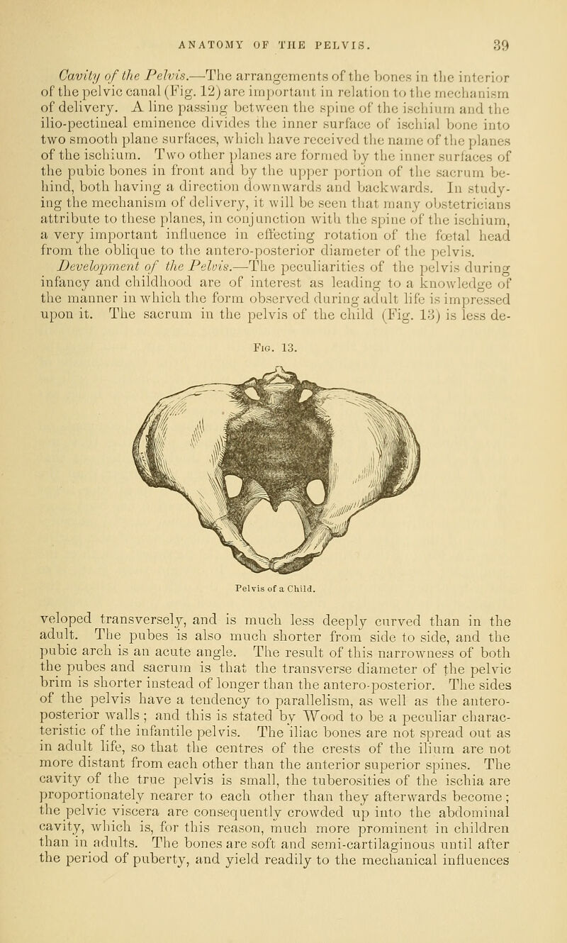 Cavity of tJie Pelvis.—The arrangements of the Ijoncs in tlie interior of the pelvic canal (Fig. 12j are important in relation to the mechanism of delivery. A line passing between the spine of the ischium and the ilio-pectiueal eminence divides the inner surface of ischial bone into two smooth plane surfaces, which have received the name of the planes of the ischium. Two other planes are formed by the inner surfaces of the pubic bones in front and by the upper portion of the sacrum be- hind, both having a direction downwards and backwards. In study- ing the mechanism of delivery, it will be seen that many obstetricians attribute to these planes, in conjunction with the spine of the ischium, a very important influence in effecting rotation of the foetal head from the oblique to the antero-posterior diameter of the pelvis. Beveloiyinent of the Pelvis.—The peculiarities of the pelvis during infancy and childhood are of interest as leading to a knowledge of the manner in which the form observed during adult life is impressed upon it. The sacrum in the pelvis of the child (Fig. 18) is less de- FiG. 13. Pelvis of a Child. veloped transversely, and is much less deeply curved than in the adult. The pubes is also much shorter from side to side, and the pubic arch is an acute angle. The result of this narrowness of both the pubes and sacrum is that the transverse diameter of the pelvic brim is shorter instead of longer than the antero-posterior. The sides of the pelvis have a tendency to parallelism, as well as the antero- posterior walls; and this is stated by Wood to be a peculiar charac- teristic of the infantile pelvis. The iliac bones are not spread out as in adult life, so that the centres of the crests of the ilium are not more distant from each other than the anterior superior spines. The cavity of the true pelvis is small, the tuberosities of the ischia are proportionately nearer to each other than they afterwards become; the pelvic viscera are consequently crowded up into the abdominal cavity, which is, for this reason, much more prominent in children than in_adults. The bones are soft and semi-cartilaginous until after the period of puberty, and yield readily to the mechanical influences