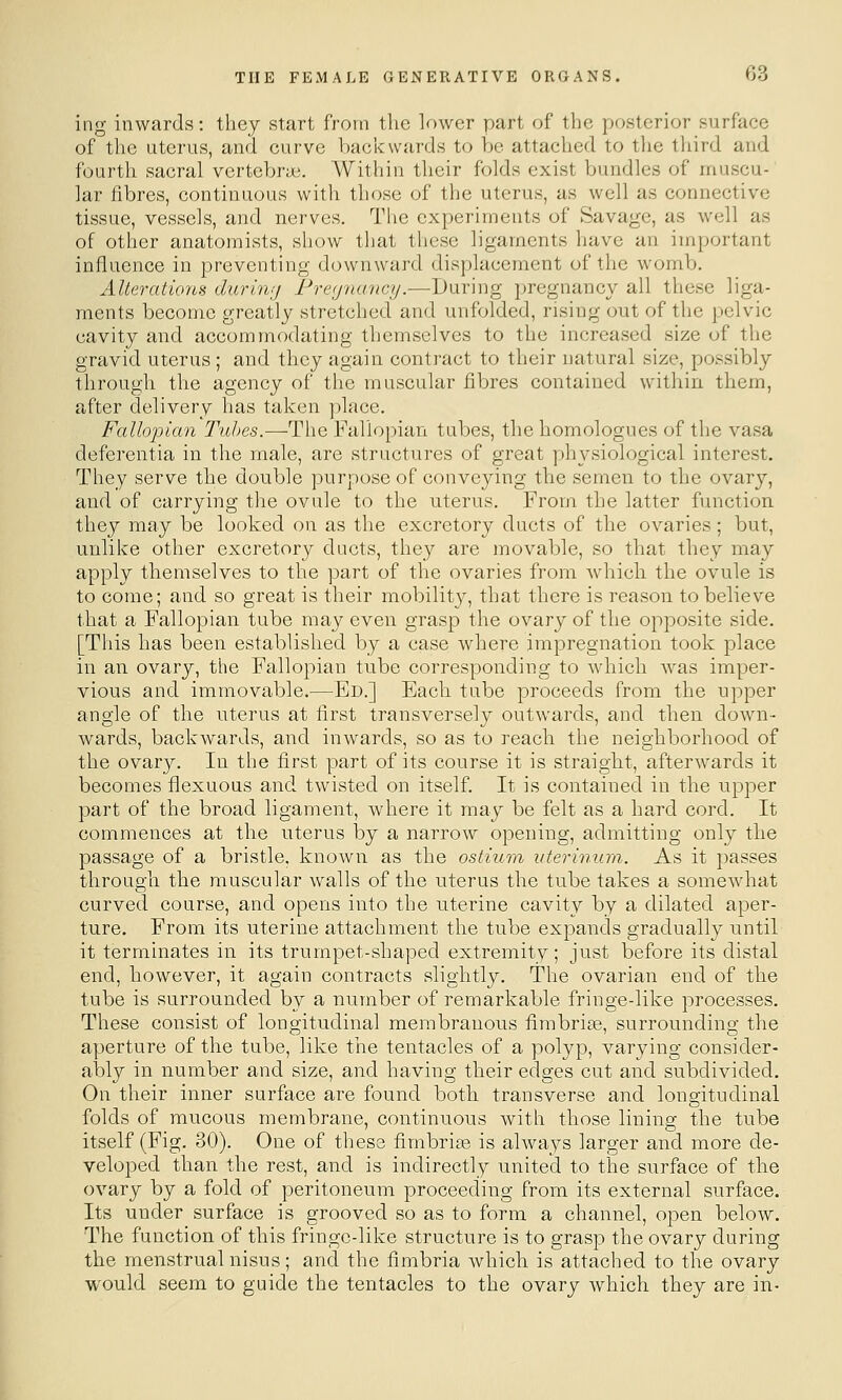 ing inwards: they start from the lower part of the posterior surface of the uterus, and eurve backwards to be attached to tlie third and fourth sacral vcrtebraj. Within their folds exist bundles of muscu- lar fibres, continuous with those of the uterus, as well as connective tissue, vessels, and nerves. The experiments of Savage, as well as of other anatomists, show that these ligaments have an important influence in preventing downward displacement of the womb. Alterations durin;j Pre(j7umcy.—During pregnancy all these liga- ments become greatly stretched and unfolded, rising out of the pelvic cavity and accommodating themselves to the increased size of the gravid uterus ; and they again contract to their natural size, possibly through the agency of the muscular fibres contained within them, after delivery has taken place. Fallopian Tubes.—The Fallopian tubes, the homologues of the vasa deferentia in the male, are structures of great ph3^siological interest. They serve the double purpose of conveying the semen to the ovary, and of carrying the ovule to the uterus. From the latter function they may be looked on as the excretory ducts of the ovaries; but, unlike other excretory ducts, they are movable, so that they may apply themselves to the part of the ovaries from which the ovule is to come; and so great is their mobility, that there is reason to believe that a Fallopian tube may even grasp the ovary of the opposite side. [This has been established by a case where impregnation took place in an ovary, the Fallopian tube corresponding to which was imper- vious and immovable.—Ed.] Each tube proceeds from the upper angle of the uterus at first transversely outwards, and then down- wards, backwards, and inwards, so as to reach the neighborhood of the ovary. In the first part of its course it is straight, afterwards it becomes flexuous and twisted on itself. It is contained in the upper part of the broad ligament, where it may be felt as a hard cord. It commences at the uterus by a narrow opening, admitting only the passage of a bristle, known as the ostium uterinum. As it passes through the muscular walls of the uterus the tube takes a somewhat curved course, and opens into the uterine cavity by a dilated aper- ture. From its uterine attachment the tube expands gradually until it terminates in its trurnpet-shaped extremity; just before its distal end, however, it again contracts slightly. The ovarian end of the tube is surrounded by a number of remarkable fringe-like processes. These consist of longitudinal membranous fimbriae, surrounding the aperture of the tube, like the tentacles of a polyp, varying consider- ably in number and size, and having their edges cut and subdivided. On their inner surface are found both transverse and longitudinal folds of mucous membrane, continuous with those lining the tube itself (Fig. 30). One of these fimbrise is always larger and more de- veloped than the rest, and is indirectly united to the surface of the ovary by a fold of peritoneum proceeding from its external surface. Its under surface is grooved so as to form a channel, open below. The function of this fringe-like structure is to grasp the ovary during the menstrual nisus; and the fimbria which is attached to the ovary would seem to guide the tentacles to the ovary which they are in-
