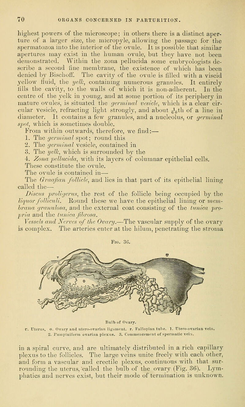 highest powers of the microscope; in others there is a distinct aper- ture of a larger size, the micropyle, allowing the passage for the spermatozoa into the interior of the ovule. It is possible that similar apertures may exist in the human ovule, but they have not been demonstrated. Within the zona pellucida some embryologists de- scribe a second hne membrane, the existence of which has been denied by Bischoff. The cavity of the ovule is filled with a viscid yellow fluid, the yelk^ containing numerous grannies. It entirely lills the cavity, to the walls of which it is non-adherent. In the centre of the yelk in young, and at some portion of its periphery in mature ovules, is situated the germinal vesicle^ which is a clear cir- cular vesicle, refracting light strongly, and about gi^th of a line in diameter. It contains a few granules, and a nucleolus, or yerminal spot, which is sometimes double. From within outwards, therefore, we find:— 1. The germinal spot; round this 2. The germinal vesicle, contained in 3. The yelk, which is surrounded by the 4. Zona pellucida, with its layers of columnar epithelial cells. These constitute the ovule. The ovule is contained in— The Graafian follicle, and lies in that part of its epithelial lining called the— Discus ■proligerus, the rest of the follicle being occupied by the liquor follicidi. Eound these we have the epithelial lining or mem- hrana granulosa, and the external coat consisting of the tunica pro- pria and the tunica fibrosa. Vessels and Nerves of the Of ar?/.—The vascular supply of the ovary is complex. The arteries enter at the hilum, penetrating the stroma Fig. 3G. Bulb of Ovary. p. Uterus, o. Ovary and utero-ovarian ligament, r. Fallopian tube. 1. Utero-ovarian vein. 2. Pampiniform ovarian plexus. 3. Commencemeut of spermatic vein. in a spiral curve, and are ultimately distributed in a rich capillary plexus to the follicles. The large veins unite freely with each other, and form a vascular and erectile plexus, continuous with that sur- rounding the uterus, ^called the bulb of the ovary (Fig. 36). Lym- phatics and nerves exist, but their mode of termination is unknown.