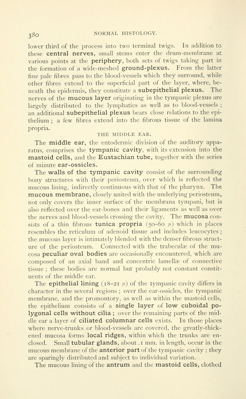 lower third of the process into two terminal twigs. In addition to these central nerves, small stems enter the drum-membrane at various points at the periphery, both sets of twigs taking part in the formation of a wide-meshed ground-plexus. From the latter fine pale fibres pass to the blood-vessels which they surround, while other fibres extend to the superficial part of the layer, where, be- neath the epidermis, they constitute a subepithelial plexus. The nerves of the mucous layer originating in the tympanic plexus are largely distributed to the lymphatics as well as to blood-vessels ; an additional subepithelial plexus bears close relations to the epi- thelium ; a few fibres extend into the fibrous tissue of the lamina propria. THE MIDDLE EAR. The middle ear, the entodermic division of the auditory appa- ratus, comprises the tympanic cavity, with its extension into the mastoid cells, and the Eustachian tube, together with the series of minute ear-ossicles. The walls of the tympanic cavity consist of the surrounding bony structures with their periosteum, over which is reflected the mucous lining, indirectly continuous with that of the pharynx. The mucous membrane, closely united with the underlying periosteum, not only covers the inner surface of the membrana tympani, but is also reflected over the ear-bones and their ligaments as well as over the nerves and blood-vessels crossing the cavity. The mucosa con- sists of a thin fibrous tunica propria (50-60 ft) which in places resembles the reticulum of adenoid tissue and includes leucocytes ; the mucous layer is intimately blended with the denser fibrous struct- ure of the periosteum. Connected with the trabeculae of the mu- cosa peculiar oval bodies are occasionally encountered, which are composed of an axial band and concentric lamellae of connective tissue ; these bodies are normal but probably not constant constit- uents of the middle ear. The epithelial lining (18-21 fi) of the tympanic cavity differs in character in the several regions ; over the ear-ossicles, the tympanic membrane, and the promontory, as well as within the mastoid cells, the epithelium consists of a single layer of low cuboidal po- lygonal cells without cilia ; over the remaining parts of the mid- dle ear a layer of ciliated columnar cells exists. In those places where nerve-trunks or blood-vessels are covered, the greatly-thick- ened mucosa forms local ridges, within which the trunks are en- closed. Small tubular glands, about .1 mm. in length, occur in the mucous membrane of the anterior part of the tympanic cavity ; they are sparingly distributed and subject to individual variation. The mucous lining of the antrum and the mastoid cells, clothed