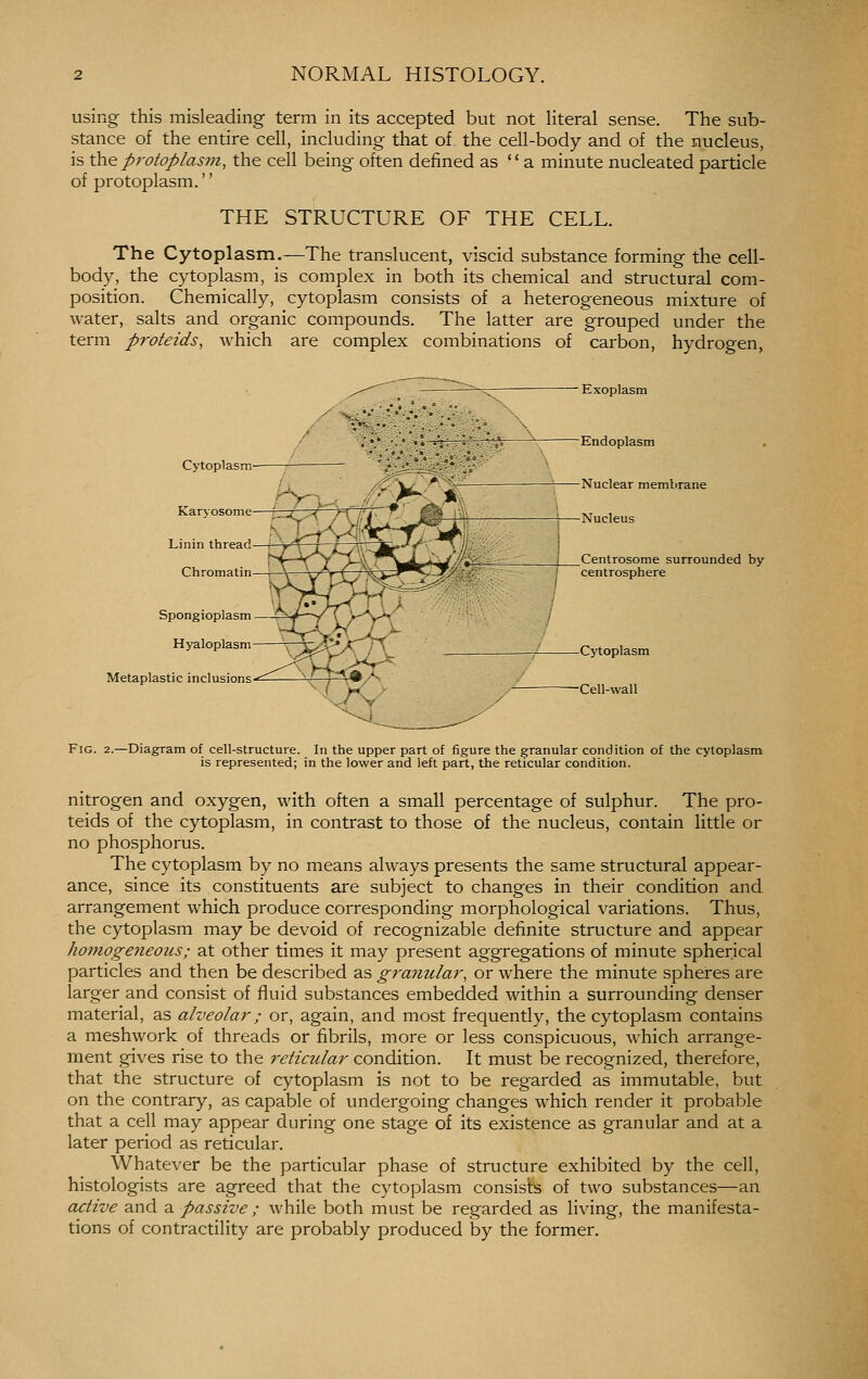 using this misleading term in its accepted but not literal sense. The sub- stance of the entire cell, including that of the cell-body and of the nucleus, is the protoplasm, the cell being often defined as  a minute nucleated particle of protoplasm.'' THE STRUCTURE OF THE CELL. The Cytoplasm.—The translucent, viscid substance forming the cell- body, the cytoplasm, is complex in both its chemical and structural com- position. Chemically, cytoplasm consists of a heterogeneous mixture of water, salts and organic compounds. The latter are grouped under the term proteids, which are complex combinations of carbon, hydrogen. >..■•■ Cytoplasm- V Karyosome Linin thread Chromati -^-n- ^ r>. ' Exoplasm -Endoplasm -Nuclear membrane -Nucleus Centrosome surrounded by centrosphere Spongioplasm Hyaloplasm Metaplastic inclusions Fig. 2.—Diagram of cell-structure. In the upper part of figure the granular condition of the cytoplasm is represented; in the lower and left part, the reticular condition. nitrogen and oxygen, with often a small percentage of sulphur. The pro- teids of the cytoplasm, in contrast to those of the nucleus, contain little or no phosphorus. The cytoplasm by no means always presents the same structural appear- ance, since its constituents are subject to changes in their condition and arrangement which produce corresponding morphological variations. Thus, the cytoplasm may be devoid of recognizable definite structure and appear homogeneous; at other times it may present aggregations of minute spherical particles and then be described as g7'-anular, or where the minute spheres are larger and consist of fluid substances embedded within a surrounding denser material, as alveolar; or, again, and most frequently, the cytoplasm contains a meshwork of threads or fibrils, more or less conspicuous, which arrange- ment gives rise to the reticular condition. It must be recognized, therefore, that the structure of cytoplasm is not to be regarded as immutable, but on the contrary, as capable of undergoing changes which render it probable that a cell may appear during one stage of its existence as granular and at a later period as reticular. Whatever be the particular phase of structure exhibited by the cell, histologists are agreed that the cytoplasm consists of two substances—an active and a passive ; while both must be regarded as living, the manifesta- tions of contractility are probably produced by the former.