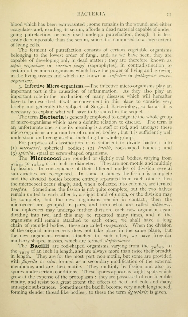 blood which has been extravasated ; some remains in the wound, and either coagulates and, exuding its serum, affords a dead material capable of under- going putrefaction, or may itself undergo putrefaction, though it is less easily decomposable than the serum, since it is composed to a large extent of living cells. The ferment of putrefaction consists of certain vegetable organisms belonging to the lowest order of fungi, and, as we have seen, they are capable of developing only in dead matter ; they are therefore known as septic organisms or carrion fungi (saprophytes), in contradistinction to certain other micro-organisms which have the j)0\ver of living and growing in the living tissues and whi<^li are known as infective or pathogenic micro- organisms. 3. Infective Micro-organisms.^The infective micro-organisms play an important part in the causation of inflammation. As they also play an important role in the production of many diseases which will hereafter have to be described, it will be convenient in this place to consider very briefly and generally the subject of Surgical Bacteriology, so far as it is necessary to explain what will have to be stated in the sequel. The term Bacteria is generally employed to designate the whole group of micro-organisms which have a definite relation to disease. The term is an unfortunate one, since its meaning is a staff or rod, and amongst these micro-organisms are a number of rounded bodies ; but it is sufficiently well understood and recognised as including the whole group. For purposes of classification it is sufficient to divide bacteria into (i) micrococci, spherical bodies; (2) bacilli, rod-shaped bodies ; and (3) spirilla, spiral or screw-shaped organisms. The Micrococci are rounded or slightly oval bodies, varying from •15000 to 10^1517 of ^^ mzh. in diameter. They are non-motile and multiply by fission. In consequence of their different modes of division several sub-varieties are recognised. In some instances the fission is complete and the divided bodies become entirely separated from each other : then the micrococci occur singly, and, when collected into colonies, are termed zooglcea. Sometimes the fission is not quite complete, but the two halves remain united to each other by a slight bond of union, or the division may be complete, but the new organisms remain in contact ; then the micrococci are grouped in pairs, and form what are called diplococci. The diplococci may undergo further division, each new organism again dividing into two, and this may be repeated many times, and if the organisms still remain attached to each other, we shall have a long chain of rounded bodies ; these are called streptococci. When the division of the original micrococcus does not take place in the same plane, but the new organisms remain attached to each other, we have irregular mulberry-shaped masses, which are termed staphylococci. The Bacilli are rod-shaped organisms, varying from the orrAoo to the i^Z-iTy of an inch in length, and are always more than twice their breadth in length. They are for the most part non-motile, but some are provided with fiagella or cilia, formed as a secondary modification of the external membrane, and are then motile. They multiply by fission and also by spores under certain conditions. These spores appear as bright spots which grow at the expense of the protoplasm ; they are possessed of considerable vitality, and resist to a great extent the effects of heat and cold and many antiseptic substances. Sometimes the bacilli become very much lengthened, forming slender thread-like bodies ; to these the term leptothrix is given.