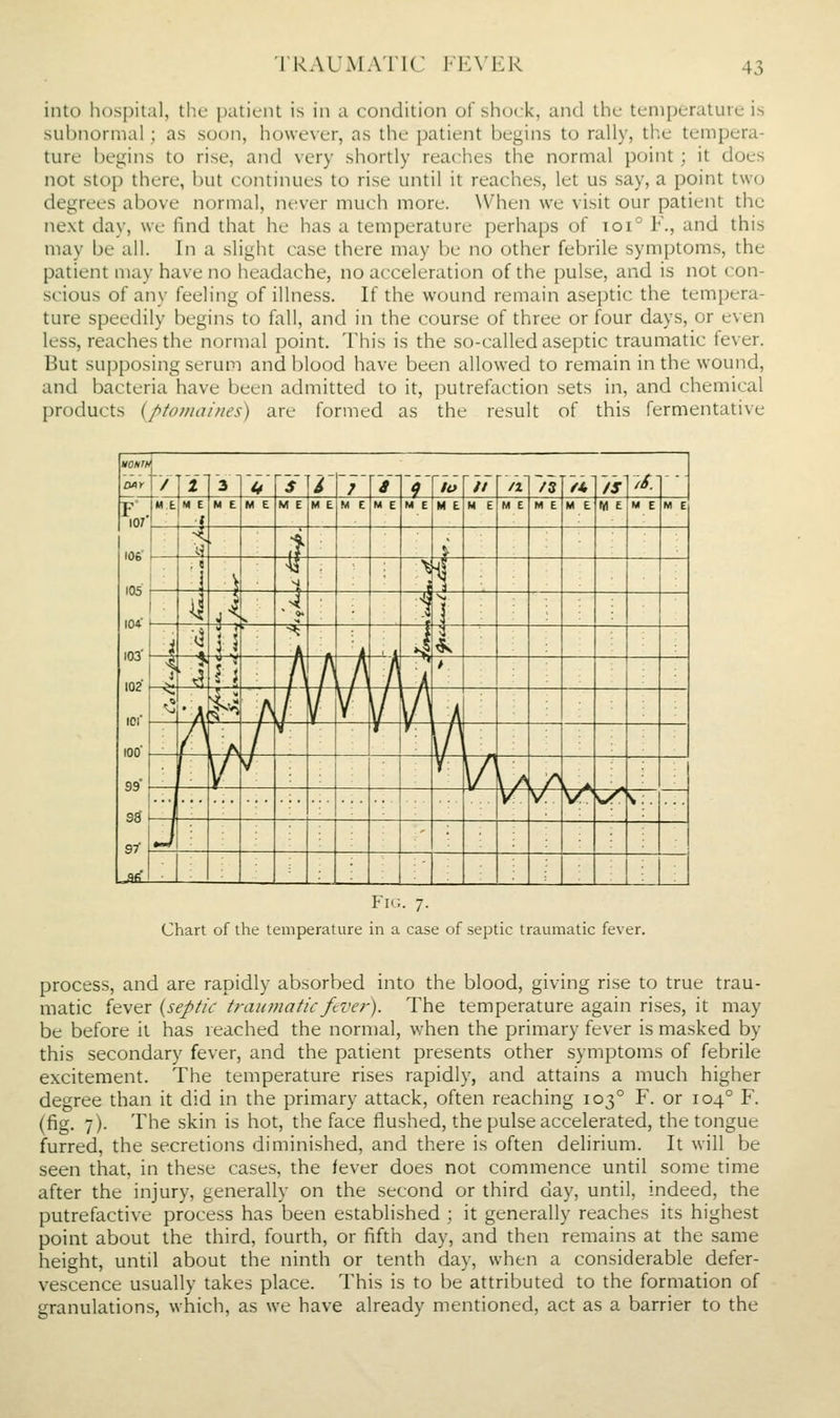 into hospital, the [)aticiU is in a condition of shock, and the temperature is subnormal; as soon, however, as the patient begins to rally, the tempera- ture begins to rise, and very shortly reaches the normal point; it does not stop there, but continues to rise until it reaches, let us say, a point two degrees above normal, never much more. \Vhen we visit our patient the next day, we find that he has a temperature perhaps of ioi° F., and this may be all. In a slight case there may be no other febrile symptoms, the patient may have no headache, no acceleration of the pulse, and is not con- scious of any feeling of illness. If the wound remain aseptic the tempera- ture speedily begins to fall, and in the course of three or four days, or even less, reaches the normal point. This is the so-called aseptic traumatic fever. But supposing serum and blood have been allowed to remain in the wound, and bacteria have been admitted to it, putrefaction sets in, and chemical products (ptomaines) are formed as the result of this fermentative HCNlh J Mr / 1 3 t* $ i J > t) to // n /s fi. 15 i6. F . 107 106' I05' 104- 103' 102 101 lOO' <19' M.a M E f M e M E M E M E M E M E M E M E M E M E M E M E M E M E M E (t i 1 ) 41 \ \ J i^ .4 vj t (^ -^ 1 \ ^ i h .h k / $4 /^ V \n i A / V^ 7 V K/ 'r °S V' V ^ ^■' ^•:- 97- Jfi' Fig. 7. Chart of the temperature in a case of septic traumatic fever. process, and are rapidly absorbed into the blood, giving rise to true trau- matic fever {septic traumatic ftver). The temperature again rises, it may be before it has reached the normal, when the primary fever is masked by this secondary fever, and the patient presents other symptoms of febrile excitement. The temperature rises rapidly, and attains a much higher degree than it did in the primary attack, often reaching 103° F. or 104° F. (fig. 7). The skin is hot, the face flushed, the pulse accelerated, the tongue furred, the secretions diminished, and there is often delirium. It will be seen that, in these cases, the fever does not commence until some time after the injury, generally on the second or third day, until, indeed, the putrefactive process has been established ; it generally reaches its highest point about the third, fourth, or fifth day, and then remains at the same height, until about the ninth or tenth day, when a considerable defer- vescence usually takes place. This is to be attributed to the formation of granulations, which, as we have already mentioned, act as a barrier to the