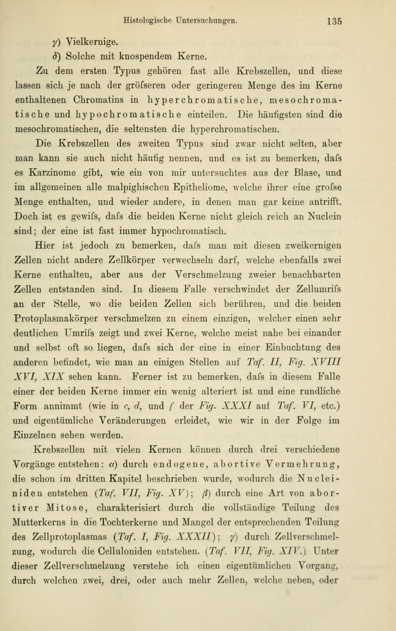 y) Vielkernige. d) Solche mit knospendem Kerne. Zu dem ersten Typus gehören fast alle Krebszellen, und diese lassen sich je nach der gröfseren oder geringeren Menge des im Kerne enthaltenen Chromatins in hyperchromatische, me so chroma- tische und hypochromatische einteilen. Die häufigsten sind die mesochromatischen, die seltensten die hyperchromatischen. Die Krebszellen des zweiten Typus sind zwar nicht selten, aber man kann sie auch nicht häufig nennen, und es ist zu bemerken, dafs es Karzinome gibt, wie ein von mir untersuchtes aus der Blase, und im allgemeinen alle malpighischen Epitheliome, welche ihrer eine grofse Menge enthalten, und wieder andere, in denen man gar keine antrifft. Doch ist es gewifs, dafs die beiden Kerne nicht gleich reich an Nuclein sind; der eine ist fast immer hypochromatisch. Hier ist jedoch zu bemerken, dafs man mit diesen zweikernigen Zellen nicht andere Zellkörper verwechseln darf, welche ebenfalls zwei Kerne enthalten, aber aus der Verschmelzung zweier benachbarten Zellen entstanden sind. In diesem Falle verschwindet der Zellumrifs an der Stelle, wo die beiden Zellen sich berühren, und die beiden Protoplasmakörper verschmelzen zu einem einzigen, welcher einen sehr deutlichen Umrifs zeigt und zwei Kerne, welche meist nahe bei einander und selbst oft so liegen, dafs sich der eine in einer Einbuchtung des anderen befindet, wie man an einigen Stellen auf Taf. II, Fig. XVIII XVI, XIX sehen kann. Ferner ist zu bemerken, dafs in diesem Falle einer der beiden Kerne immer ein wenig alteriert ist und eine rundliche Form annimmt (wie in c, d, und f der Fig. XXXI auf Taf. VI, etc.) und eigentümliche Veränderungen erleidet, wie wir in der Folge im Einzelnen sehen werden. Krebszellen mit vielen Kernen können durch drei verschiedene Vorgänge entstehen: «) durch endogene, abortive Vermehrung, die schon im dritten Kapitel beschrieben wurde, wodurch die Nuclei- niden entstehen (Taf. VII, Fig. XV); ß) durch eine Art von abor- tiver Mitose, charakterisiert durch die vollständige Teilung des Mutterkerns in die Tochterkerne und Mangel der entsprechenden Teilung des Zellprotoplasmas (Taf. I, Fig. XXXII); y) durch Zellverschmel- zung, wodurch die Celluloniden entstehen. (Taf. VII, Fig. XIV.) Unter dieser Zellverschmelzung verstehe ich einen eigentümlichen Vorgang, durch welchen zwei, drei, oder auch mehr Zellen, welche neben, oder