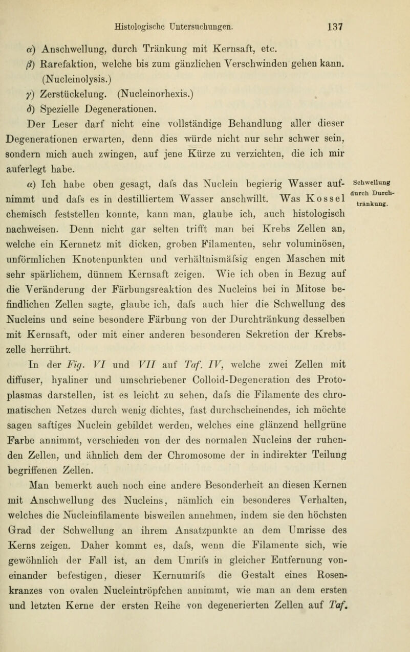 a) Anschwellung, durch Tränkung mit Kemsaft, etc. ß) Rarefaktion, welche bis zum gänzlichen Verschwinden gehen kann. (Nucleinolysis.) y) Zerstückelung. (Nucleinorhexis.) d) Spezielle Degenerationen. Der Leser darf nicht eine vollständige Behandlung aller dieser Degenerationen erwarten, denn dies würde nicht nur sehr schwer sein, sondern mich auch zwingen, auf jene Kürze zu verzichten, die ich mir auferlegt habe. a) Ich habe oben gesagt, dafs das Xuclein begierig Wasser auf- Schwellung nimmt und dafs es in destilliertem Wasser anschwillt. Was Kossei trankung. chemisch feststellen konnte, kann man, glaube ich, auch histologisch nachweisen. Denn nicht gar selten trifft man bei Krebs Zellen an, welche ein Kernnetz mit dicken, groben Filamenten, sehr voluminösen, unförmlichen Knotenpunkten und verhältnismäfsig engen Maschen mit sehr spärlichem, dünnem Kernsaft zeigen. Wie ich oben in Bezug auf die Veränderung der Färbungsreaktion des Nucleins bei in Mitose be- findlichen Zellen sagte, glaube ich, dafs auch hier die Schwellung des Nucleins und seine besondere Färbung von der Durchtränkung desselben mit Kemsaft, oder mit einer anderen besonderen Sekretion der Krebs- zelle herrührt. In der Fig. VI und VII auf Taf. IV, welche zwei Zellen mit diffuser, hyaliner und umschriebener Colloid-Degeneration des Proto- plasmas darstellen, ist es leicht zu sehen, dafs die Filamente des chro- matischen Netzes durch wenig dichtes, fast durchscheinendes, ich möchte sagen saftiges Nuclein gebildet werden, welches eine glänzend hellgrüne Farbe annimmt, verschieden von der des normalen Nucleins der ruhen- den Zellen, und ähnlich dem der Chromosome der in indirekter Teilung begriffenen Zellen. Man bemerkt auch noch eine andere Besonderheit an diesen Kernen mit Anschwellung des Nucleins, nämlich ein besonderes Verhalten, welches die Nucleiufilamente bisweilen annehmen, indem sie den höchsten Grad der Schwellung an ihrem Ansatzpunkte an dem Umrisse des Kerns zeigen. Daher kommt es, dafs, wenn die Filamente sich, wie gewöhnlich der Fall ist, an dem Umrifs in gleicher Entfernung von- einander befestigen, dieser Kernumrifs die Gestalt eines Rosen- kranzes von ovalen Nucleintröpfchen annimmt, wie man an dem ersten und letzten Kerne der ersten Reihe von degenerierten Zellen auf Taf,
