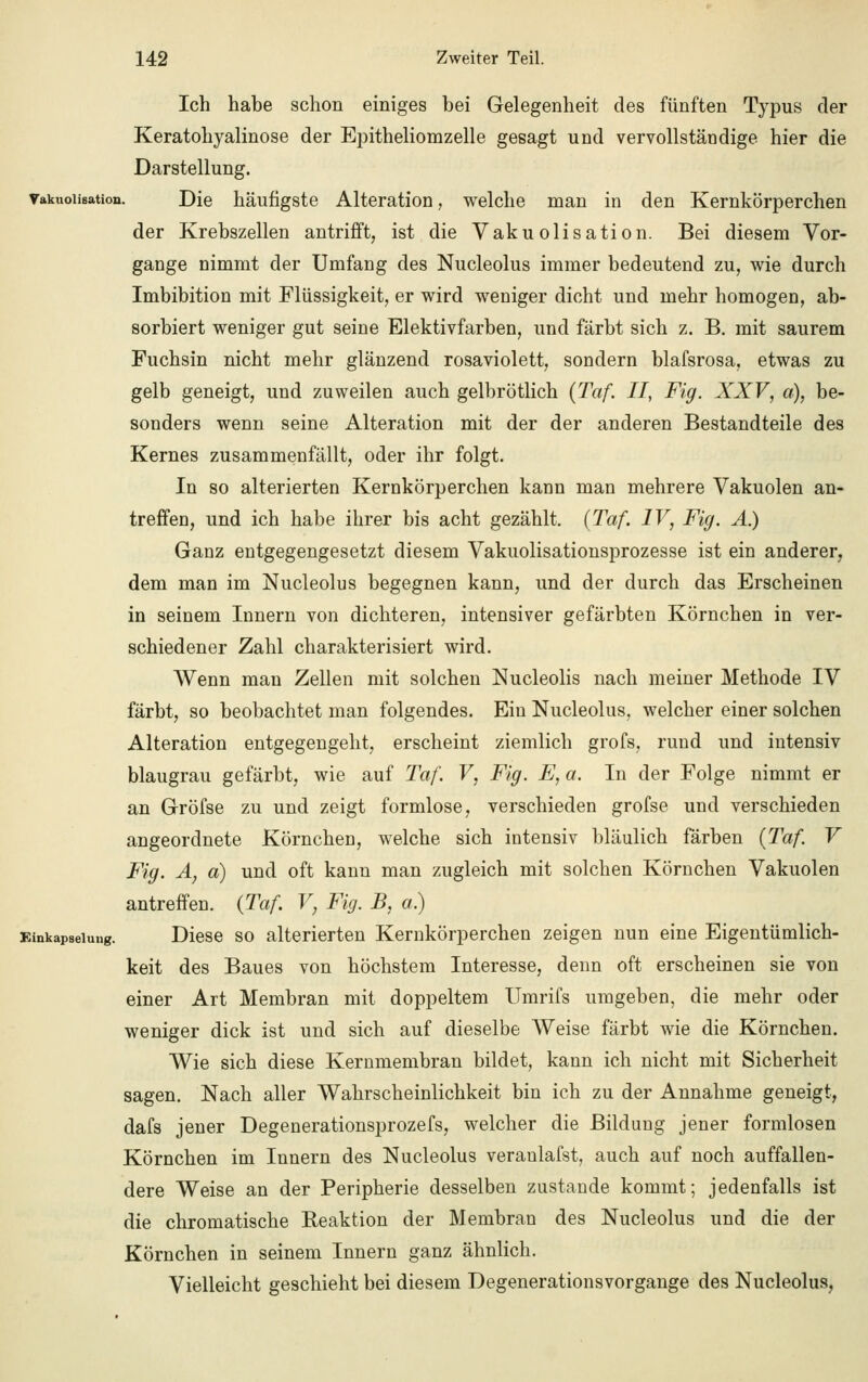 Ich habe schon einiges bei Gelegenheit des fünften Typus der Keratohyalinose der Epitheliomzelle gesagt und vervollständige hier die Darstellung, vakuoiisation. Die häufigste Alteration, welche man in den Kernkörperchen der Krebszellen antrifft, ist die Vakuoiisation. Bei diesem Vor- gange nimmt der Umfang des Nucleolus immer bedeutend zu, wie durch Imbibition mit Flüssigkeit, er wird weniger dicht und mehr homogen, ab- sorbiert weniger gut seine Elektivfarben, und färbt sich z. B. mit saurem Fuchsin nicht mehr glänzend rosaviolett, sondern blafsrosa, etwas zu gelb geneigt, und zuweilen auch gelbrötlich {Taf. II, Fig. XXV, a), be- sonders wenn seine Alteration mit der der anderen Bestandteile des Kernes zusammenfällt, oder ihr folgt. In so alterierten Kernkörperchen kann man mehrere Vakuolen an- treffen, und ich habe ihrer bis acht gezählt. {Taf. IV, Fig. A.) Ganz entgegengesetzt diesem Vakuolisationsprozesse ist ein anderer, dem man im Nucleolus begegnen kann, und der durch das Erscheinen in seinem Innern von dichteren, intensiver gefärbten Körnchen in ver- schiedener Zahl charakterisiert wird. Wenn man Zellen mit solchen Nucleolis nach meiner Methode IV färbt, so beobachtet man folgendes. Ein Nucleolus, welcher einer solchen Alteration entgegengeht, erscheint ziemlich grofs, rund und intensiv blaugrau gefärbt, wie auf Taf. V, Fig. E, a. In der Folge nimmt er an Gröfse zu und zeigt formlose, verschieden grofse und verschieden angeordnete Körnchen, welche sich intensiv bläulich färben {Taf. V Fig. A, a) und oft kann man zugleich mit solchen Körnchen Vakuolen antreffen. {Taf. V} Fig. B, a.) Einkapseiung. Diese so alterierten Kernkörperchen zeigen nun eine Eigentümlich- keit des Baues von höchstem Interesse, denn oft erscheinen sie von einer Art Membran mit doppeltem Umrifs umgeben, die mehr oder weniger dick ist und sich auf dieselbe Weise färbt wie die Körnchen. Wie sich diese Kernmembran bildet, kann ich nicht mit Sicherheit sagen. Nach aller Wahrscheinlichkeit bin ich zu der Annahme geneigt, dafs jener Degenerationsprozefs, welcher die Bildung jener formlosen Körnchen im Innern des Nucleolus veranlafst, auch auf noch auffallen- dere Weise an der Peripherie desselben zustande kommt; jedenfalls ist die chromatische Reaktion der Membran des Nucleolus und die der Körnchen in seinem Innern ganz ähnlich. Vielleicht geschieht bei diesem Degenerationsvorgange des Nucleolus,