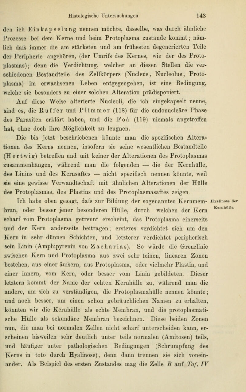 den ich Einkapseln Dg nennen möchte, dasselbe, was durch ähnliche Prozesse bei dem Kerne und beim Protoplasma zustande kommt; näm- lich dafs immer die am stärksten und am frühesten degenerierten Teile der Peripherie angehören, (der Umrifs des Kernes, wie der des Proto- plasmas); denn die Verdichtung, welcher an diesen Stellen die ver- schiedenen Bestandteile des Zellkörpers (Nucleus, Nucleolus, Proto- plasma) im erwachsenen Leben entgegengehen, ist eine Bedingung, welche sie besonders zu einer solchen Alteration prädisponiert. Auf diese Weise alterierte Nucleoli, die ich eingekapselt nenne, sind es, die Ruffer und Plimmer (118) für die endonucleäre Phase des Parasiten erklärt haben, und die Foä (119) niemals angetroffen hat, ohne doch ihre Möglichkeit zu leugnen. Die bis jetzt beschriebenen könnte man die spezifischen Altera- tionen des Kerns nennen, insofern sie seine wesentlichen Bestandteile (Hertwig) betreffen und mit keiner der Alterationen des Protoplasmas zusammenhängen, während man die folgenden — die der Kernhülle, des Linins und des Kernsaftes — nicht spezifisch nennen könnte, weil sie eine gewisse Verwandtschaft mit ähnlichen Alterationen der Hülle des Protoplasmas, des Plastins und des Protoplasmasaftes zeigen. Ich habe oben gesagt, dafs zur Bildung der sogenannten Kernmem- Hyaiinose der bran, oder besser jener besonderen Hülle, durch welchen der Kern scharf vom Protoplasma getrennt erscheint, das Protoplasma einerseits und der Kern anderseits beitragen; ersteres verdichtet sich um den Kern in sehr dünnen Schichten, und letzterer verdichtet peripherisch sein Linin (Amphipyrenin von Zacharias). So würde die Grenzlinie zwischen Kern und Protoplasma aus zwei sehr feinen, linearen Zonen bestehen, aus einer äufsern, aus Protoplasma, oder vielmehr Plastin, und einer innern, vom Kern, oder besser vom Linin gebildeten. Dieser letztern kommt der Name der echten Kernhülle zu, während man die andere, um sich zu verständigen, die Protoplasmahülle nennen könnte; und noch besser, um einen schon gebräuchlichen Namen zu erhalten, könnten wir die Kernhülle als echte Membran, und die protoplasmati- sche Hülle als sekundäre Membran bezeichnen. Diese beiden Zonen nun, die man bei normalen Zellen nicht scharf unterscheiden kann, er- scheinen bisweilen sehr deutlich unter teils normalen (Amitosen) teils, und häufiger unter pathologischen Bedingungen (Schrumpfung des Kerns in toto durch Hyaiinose), denn dann trennen sie sich vonein- ander. Als Beispiel des ersten Zustandes mag die Zelle B auf Taf. IV