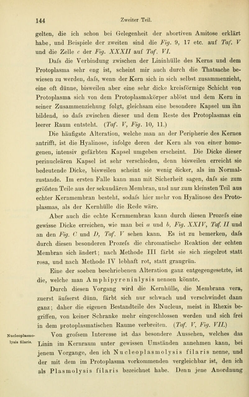 gelten, die ich schon bei Gelegenheit der abortiven Amitose erklärt habe, und Beispiele der zweiten sind die Fig. 9, 17 etc. auf Taf. V und die Zelle c der Fig. XXXII auf Taf. VI Dafs die Verbindung zwischen der Lininhülle des Kerns und dem Protoplasma sehr eng ist, scheint mir auch durch die Thatsache be- wiesen zu werden, dafs, wenn der Kern sich in sich selbst zusammenzieht, eine oft dünne, bisweilen aber eine sehr dicke kreisförmige Schicht von Protoplasma sich von dem Protoplasmakörper ablöst und dem Kern in seiner Zusammenziehung folgt, gleichsam eine besondere Kapsel um ihn bildend, so dafs zwischen dieser und dem Reste des Protoplasmas ein leerer Raum entsteht, (Taf. V, Fig. 10, 11.) Die häufigste Alteration, welche man an der Peripherie des Kernes antrifft, ist die Hyalinose, infolge deren der Kern als von einer homo- genen, intensiv gefärbten Kapsel umgeben erscheint. Die Dicke dieser perinucleären Kapsel ist sehr verschieden, denn bisweilen erreicht sie bedeutende Dicke, bisweilen scheint sie wenig dicker, als im Normal- zustande. Im ersten Falle kann man mit Sicherheit sagen, dafs sie zum gröfsten Teile aus der sekundären Membran, und nur zum kleinsten Teil aus echter Kernmembran besteht, sodafs hier mehr von Hyalinose des Proto- plasmas, als der Kernhülle die Rede wäre. Aber auch die echte Kernmembran kann durch diesen Prozefs eine gewisse Dicke erreichen, wie man bei a und b, Fig. XXIV, Taf. II und an den Fig. C und D, Taf. V sehen kann. Es ist zu bemerken, dafs durch diesen besonderen Prozefs die chromatische Reaktion der echten Membran sich ändert; nach Methode III färbt sie sich ziegelrot statt rosa, und nach Methode IV lebhaft rot, statt graugrün. Eine der soeben beschriebenen Alteration ganz entgegengesetzte, ist die, welche man Amphipyreninlysis nennen könnte. Durch diesen Vorgang wird die Kernhülle, die Membrana vera, zuerst äufserst dünn, färbt sich nur schwach und verschwindet dann ganz; daher die eigenen Bestandteile des Nucleus, meist in Rhexis be- griffen, von keiner Schranke mehr eingeschlossen werden und sich frei in dem protoplasmatischen Räume verbreiten. (Taf. V, Fig. VII.) Nudeopiasmo- Von grofsem Interesse ist das besondere Aussehen, welches das lyais fiiaris. ^mm im Kernraum unter gewissen Umständen annehmen kann, bei jenem Vorgange, den ich Nucleoplasmolysis fiiaris nenne, und der mit dem im Protoplasma vorkommenden vergleichbar ist, den ich als Plasmolysis fiiaris bezeichnet habe. Denn jene Anordnung