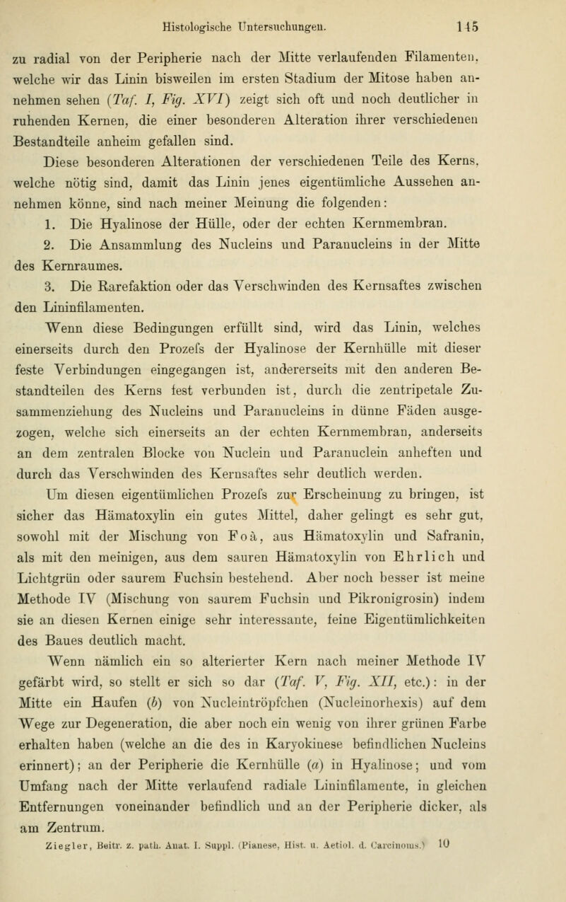 zu radial von der Peripherie nach der Mitte verlaufenden Filamenten, welche wir das Linin bisweilen im ersten Stadium der Mitose haben an- nehmen sehen (Taf. I, Fig. XVI) zeigt sich oft und noch deutlicher in ruhenden Kernen, die einer besonderen Alteration ihrer verschiedenen Bestandteile anheim gefallen sind. Diese besonderen Alterationen der verschiedenen Teile des Kerns, welche nötig sind,, damit das Linin jenes eigentümliche Aussehen an- nehmen könne, sind nach meiner Meinung die folgenden: 1. Die Hyalinose der Hülle, oder der echten Kernmembran. 2. Die Ansammlung des Nucleins und Paranucleins in der Mitte des Kernraumes. 3. Die Rarefaktion oder das Verschwinden des Kernsaftes zwischen den Lininfilamenten. Wenn diese Bedingungen erfüllt sind, wird das Linin, welches einerseits durch den Prozefs der Hyalinose der Kernhülle mit dieser feste Verbindungen eingegangen ist, andererseits mit den anderen Be- standteilen des Kerns fest verbunden ist, durch die zentripetale Zu- sammenziehung des Nucleins und Paranucleins in dünne Fäden ausge- zogen, welche sich einerseits an der echten Kernmembran, anderseits an dem zentralen Blocke von Nuclein und Paranuclein anheften und durch das Verschwinden des Kernsaftes sehr deutlich werden. Um diesen eigentümlichen Prozefs zw Erscheinung zu bringen, ist sicher das Hämatoxylin ein gutes Mittel, daher gelingt es sehr gut, sowohl mit der Mischung von Foä, aus Hämatoxylin und Safranin, als mit den meinigen, aus dem sauren Hämatoxylin von Ehrlich und Lichtgrün oder saurem Fuchsin bestehend. Aber noch besser ist meine Methode IV (Mischung von saurem Fuchsin und Pikronigrosin) indem sie an diesen Kernen einige sehr interessante, feine Eigentümlichkeiten des Baues deutlich macht. Wenn nämlich ein so alterierter Kern nach meiner Methode IV gefärbt wird, so stellt er sich so dar {Taf. V, Fig. XII, etc.): in der Mitte ein Haufen (b) von Nucleintröpfchen (Nucleinorhexis) auf dem Wege zur Degeneration, die aber noch ein wenig von ihrer grünen Farbe erhalten haben (welche an die des in Karyokinese befindlichen Nucleins erinnert); an der Peripherie die Kernhülle (a) in Hyalinose; und vom Umfang nach der Mitte verlaufend radiale Lininfilamente, in gleichen Entfernungen voneinander befindlich und an der Peripherie dicker, als am Zentrum. Ziegler, Beitr. i. path. Anat. I. Suppl. (Pianeae, Bist u. Artini. d. Carcinoma.] 10