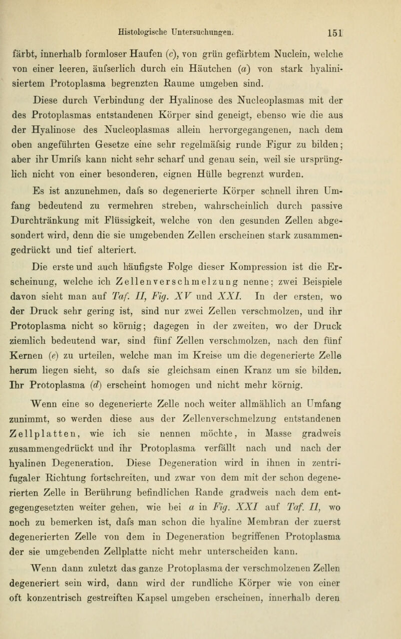 färbt, innerhalb formloser Haufen (c), von grün gefärbtem Nuclein, welche von einer leeren, äufserlich durch ein Häutchen (a) von stark hyalini- siertem Protoplasma begrenzten Räume umgeben sind. Diese durch Verbindung der Hyalinose des Nucleoplasmas mit der des Protoplasmas entstandenen Körper sind geneigt, ebenso wie die aus der Hyalinose des Nucleoplasmas allein hervorgegangenen, nach dem oben angeführten Gesetze eine sehr regelmäfsig runde Figur zu bilden; aber ihr Umrifs kann nicht sehr scharf und genau sein, weil sie ursprüng- lich nicht von einer besonderen, eignen Hülle begrenzt wurden. Es ist anzunehmen, dafs so degenerierte Körper schnell ihren Um- fang bedeutend zu vermehren streben, wahrscheinlich durch passive Durchtränkung mit Flüssigkeit, welche von den gesunden Zellen abge- sondert wird, denn die sie umgebenden Zellen erscheinen stark zusammen- gedrückt und tief alteriert. Die erste und auch häufigste Folge dieser Kompression ist die Er- scheinung, welche ich Zellenverschmelzung nenne; zwei Beispiele davon sieht man auf Taf. II, Fig. XV und XXL In der ersten, wo der Druck sehr gering ist, sind nur zwei Zellen verschmolzen, und ihr Protoplasma nicht so körnig; dagegen in der zweiten, wo der Druck ziemlich bedeutend war, sind fünf Zellen verschmolzen, nach den fünf Kernen (e) zu urteilen, welche man im Kreise um die degenerierte Zelle herum liegen sieht, so dafs sie gleichsam einen Kranz um sie bilden. Ihr Protoplasma (d) erscheint homogen und nicht mehr körnig. Wenn eine so degenerierte Zelle noch weiter allmählich an Umfang zunimmt, so werden diese aus der Zellenverschmelzung entstandenen Zellplatten, wie ich sie nennen möchte, in Masse gradweis zusammengedrückt und ihr Protoplasma verfällt nach und nach der hyalinen Degeneration. Diese Degeneration wird in ihnen in zentri- fugaler Richtung fortschreiten, und zwar von dem mit der schon degene- rierten Zelle in Berührung befindlichen Rande gradweis nach dem ent- gegengesetzten weiter gehen, wie bei a in Fig. XXI auf Taf. II, wo noch zu bemerken ist, dafs man schon die hyaline Membran der zuerst degenerierten Zelle von dem in Degeneration begriffenen Protoplasma der sie umgebenden Zellplatte nicht mehr unterscheiden kann. Wenn dann zuletzt das ganze Protoplasma der verschmolzeneu Zellen degeneriert sein wird, dann wird der rundliche Körper wie von einer oft konzentrisch gestreifteu Kapsel umgeben erscheinen, innerhalb deren