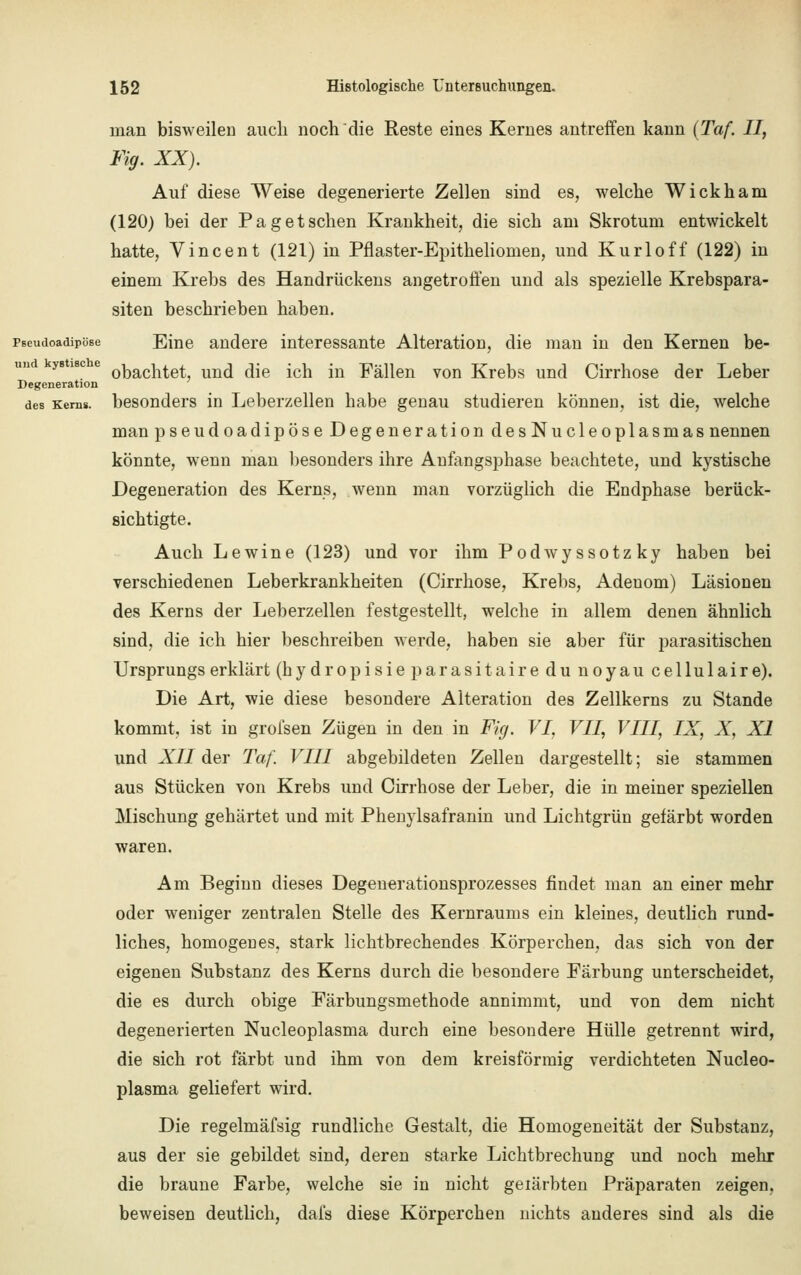 man bisweilen auch noch die Reste eines Kernes antreffen kann (Taf. II, Fig. XX). Auf diese Weise degenerierte Zellen sind es, welche Wickham (120) bei der Pag et sehen Krankheit, die sich am Skrotum entwickelt hatte, Vincent (121) in Pflaster-Epitheliomen, und Kurloff (122) in einem Krebs des Handrückens angetroffen und als spezielle Krebspara- siten beschrieben haben. Pseudoadipöse Eine andere interessante Alteration, die man in den Kernen be- ys lac e 0kacn^e+ un(j <jje ich jn Fällen von Krebs und Cirrhose der Leber Degeneration des Kerns, besonders in Leberzellen habe genau studieren können, ist die, welche man pseudoadipöse Degeneration desNucleoplasmas nennen könnte, wenn man besonders ihre Aufangsphase beachtete, und kystische Degeneration des Kerns, wenn man vorzüglich die Endphase berück- sichtigte. Auch Lewine (123) und vor ihm Podwyssotzky haben bei verschiedenen Leberkrankheiten (Cirrhose, Krebs, Adenom) Läsionen des Kerns der Leberzellen festgestellt, welche in allem denen ähnlich sind, die ich hier beschreiben werde, haben sie aber für parasitischen Ursprungs erklärt (hydropisieparasitaire du noyau cellulaire). Die Art, wie diese besondere Alteration des Zellkerns zu Stande kommt, ist in grofsen Zügen in den in Fig. VI, VII, VIII, IX, X, XI und XII der Taf. VIII abgebildeten Zellen dargestellt; sie stammen aus Stücken von Krebs und Cirrhose der Leber, die in meiner speziellen Mischung gehärtet und mit Phenylsafranin und Lichtgrün gefärbt worden waren. Am Beginn dieses Degeuerationsprozesses findet man an einer mehr oder weniger zentralen Stelle des Kernraums ein kleines, deutlich rund- liches, homogenes, stark lichtbrechendes Körperchen, das sich von der eigenen Substanz des Kerns durch die besondere Färbung unterscheidet, die es durch obige Färbungsmethode annimmt, und von dem nicht degenerierten Nucleoplasma durch eine besondere Hülle getrennt wird, die sich rot färbt und ihm von dem kreisförmig verdichteten Nucleo- plasma geliefert wird. Die regelmäfsig rundliche Gestalt, die Homogeneität der Substanz, aus der sie gebildet sind, deren starke Lichtbrechung und noch mehr die braune Farbe, welche sie in nicht geiärbten Präparaten zeigen, beweisen deutlich, dafs diese Körperchen nichts anderes sind als die